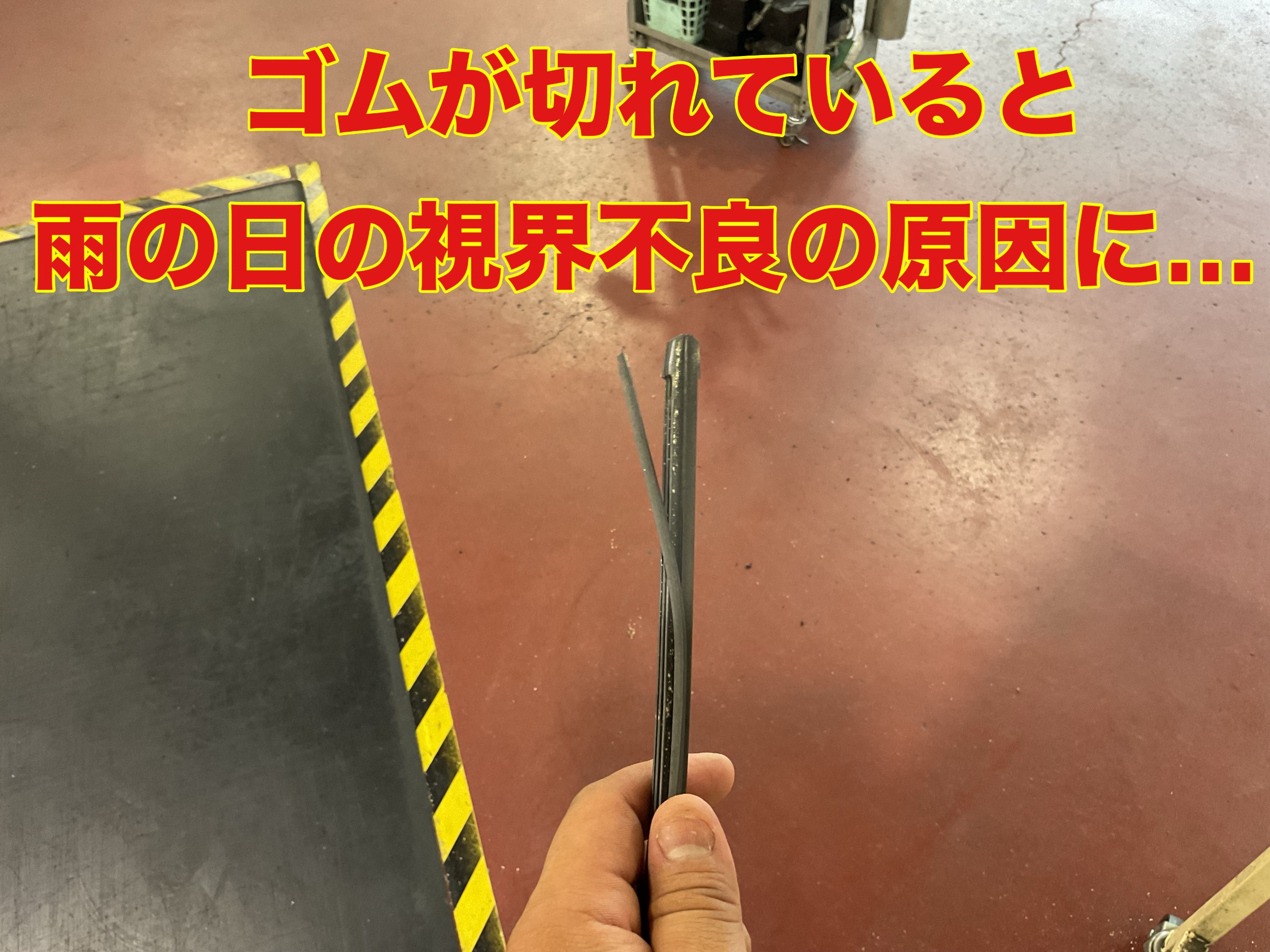 スタッフ撮影。無料画像編集アプリにて編集。