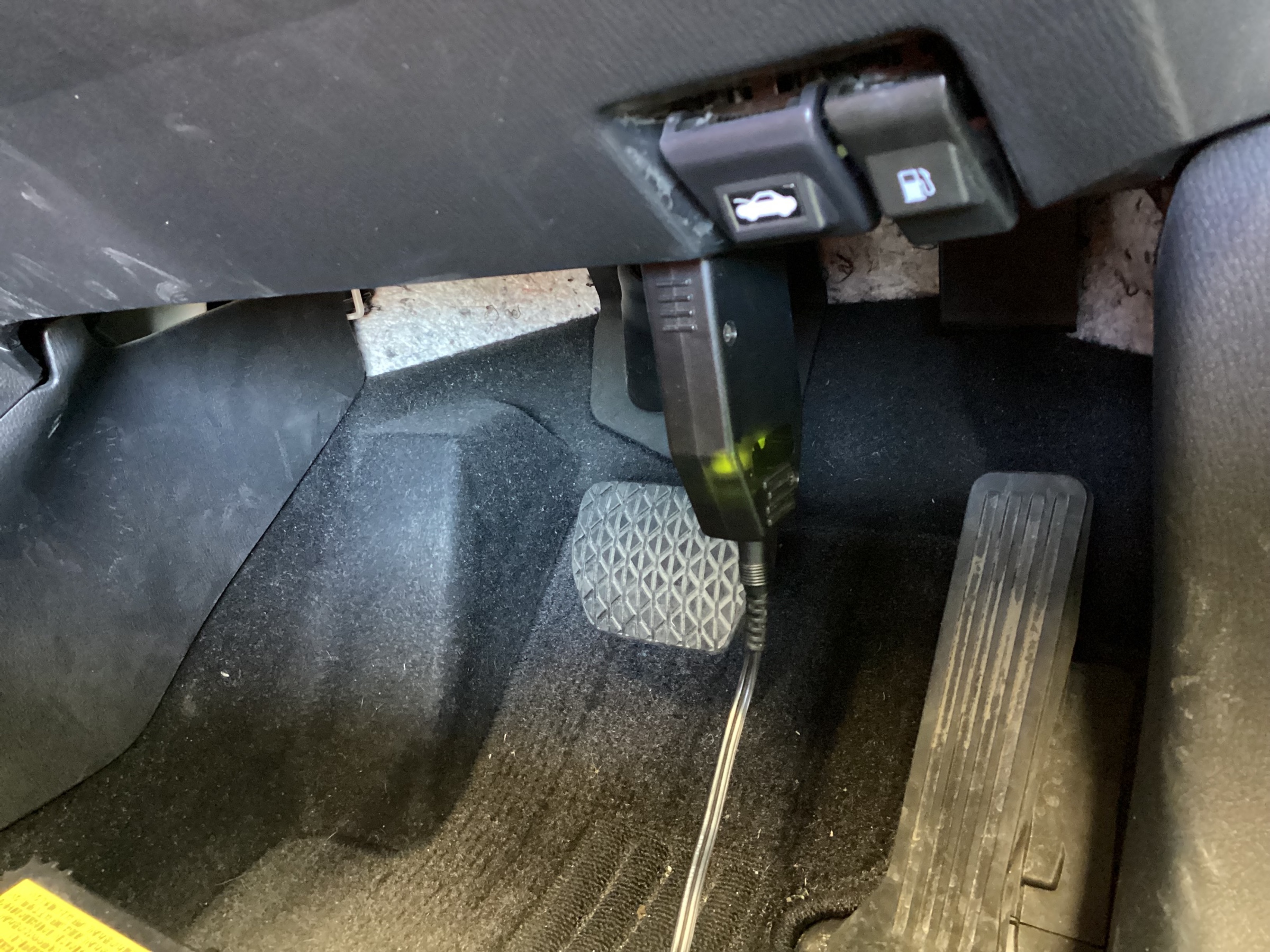 スタッフ撮影分