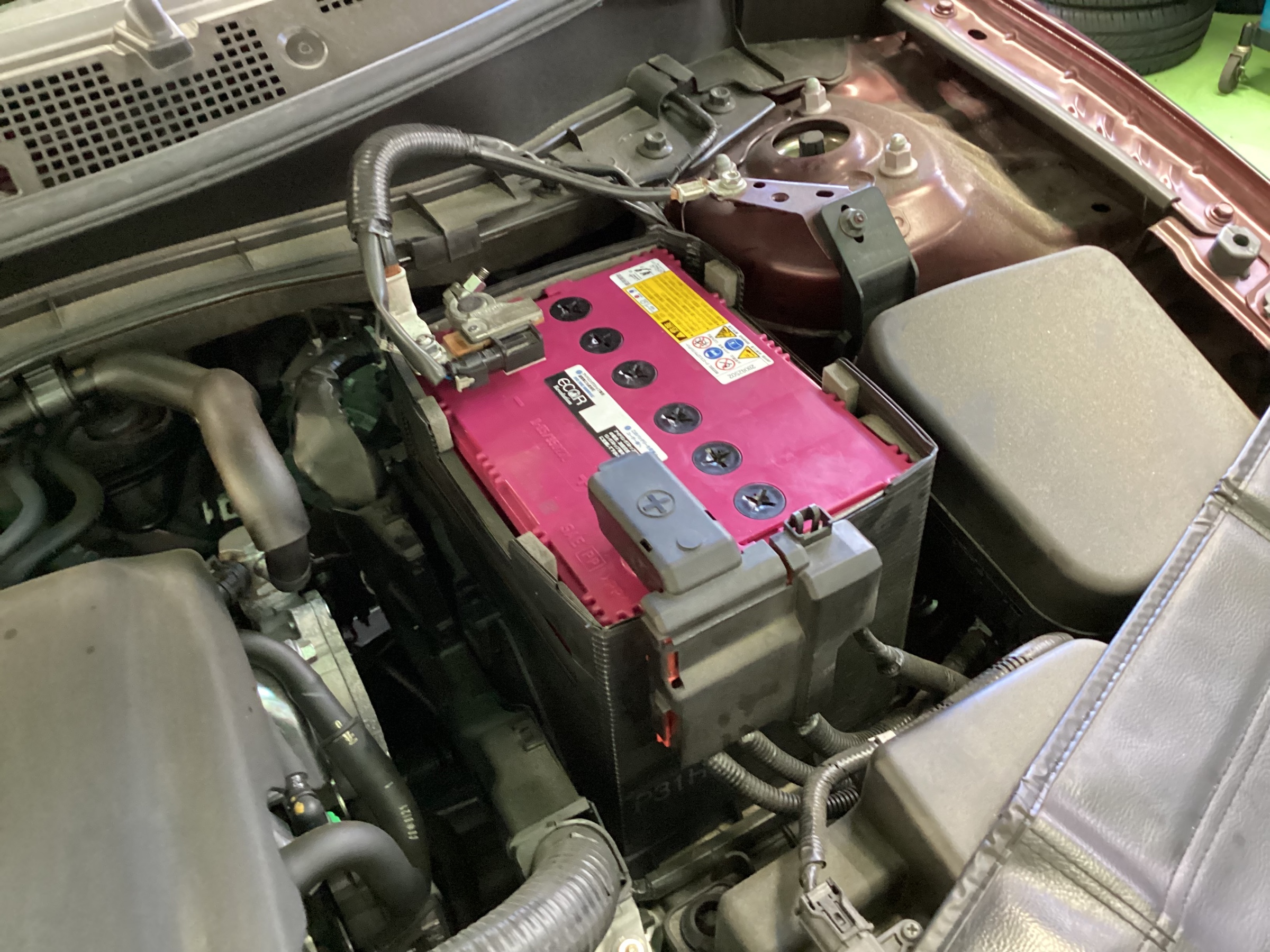 スタッフ撮影分