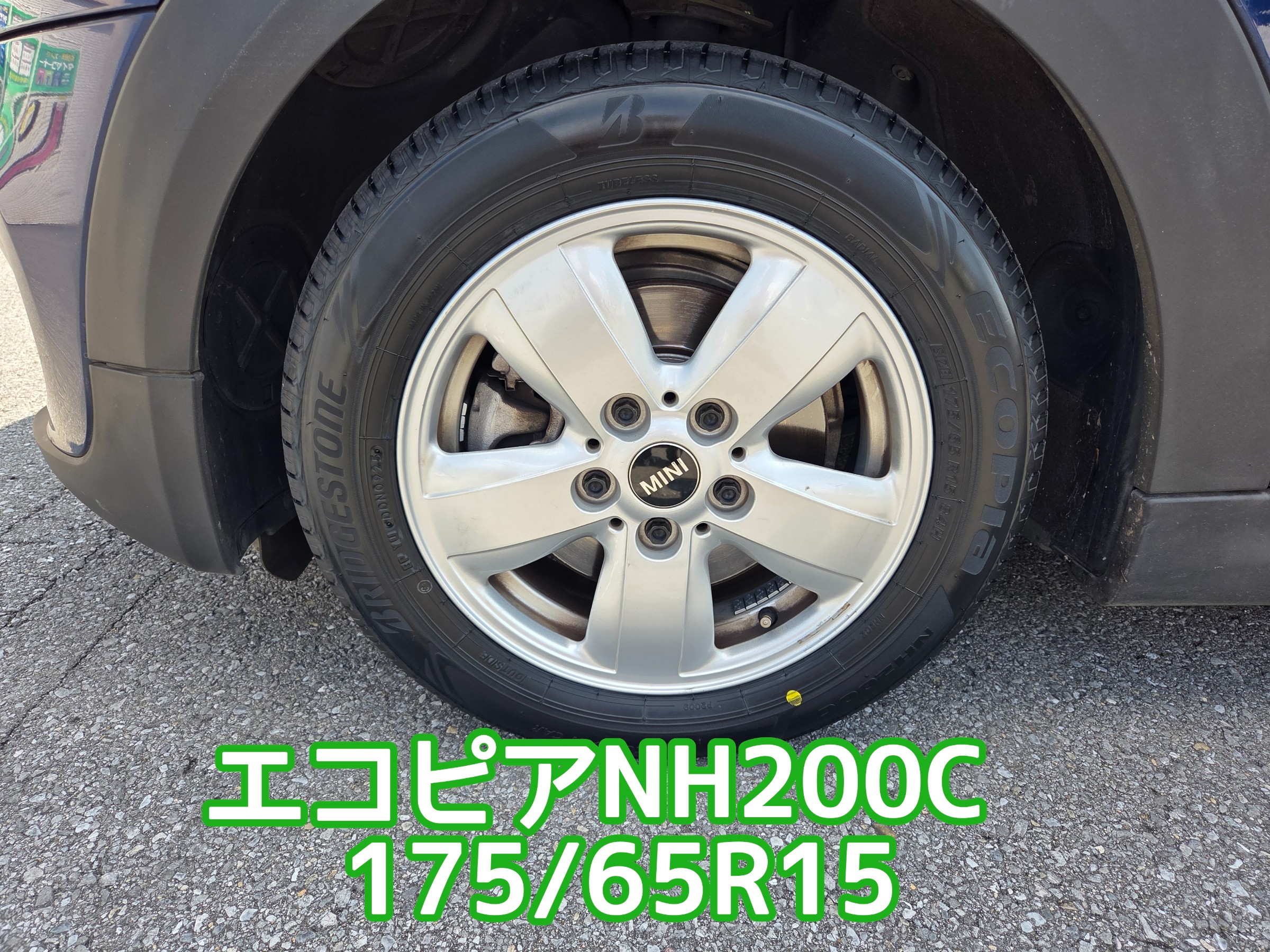 スタッフが撮影しました