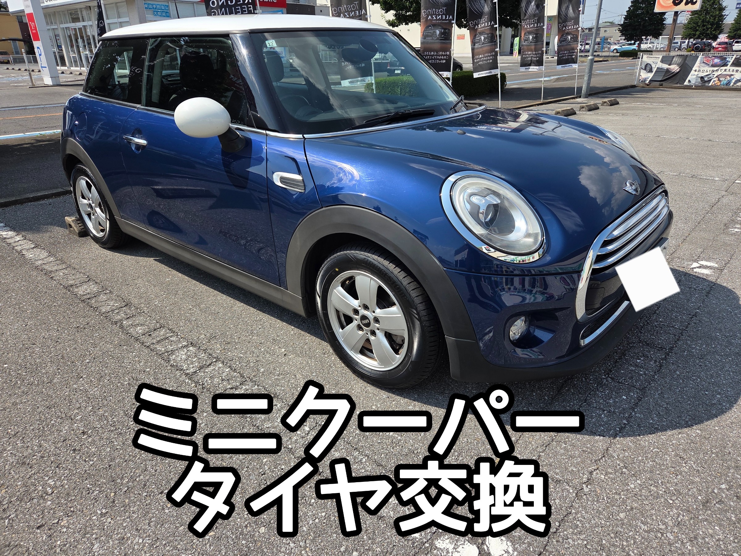 スタッフが撮影しました