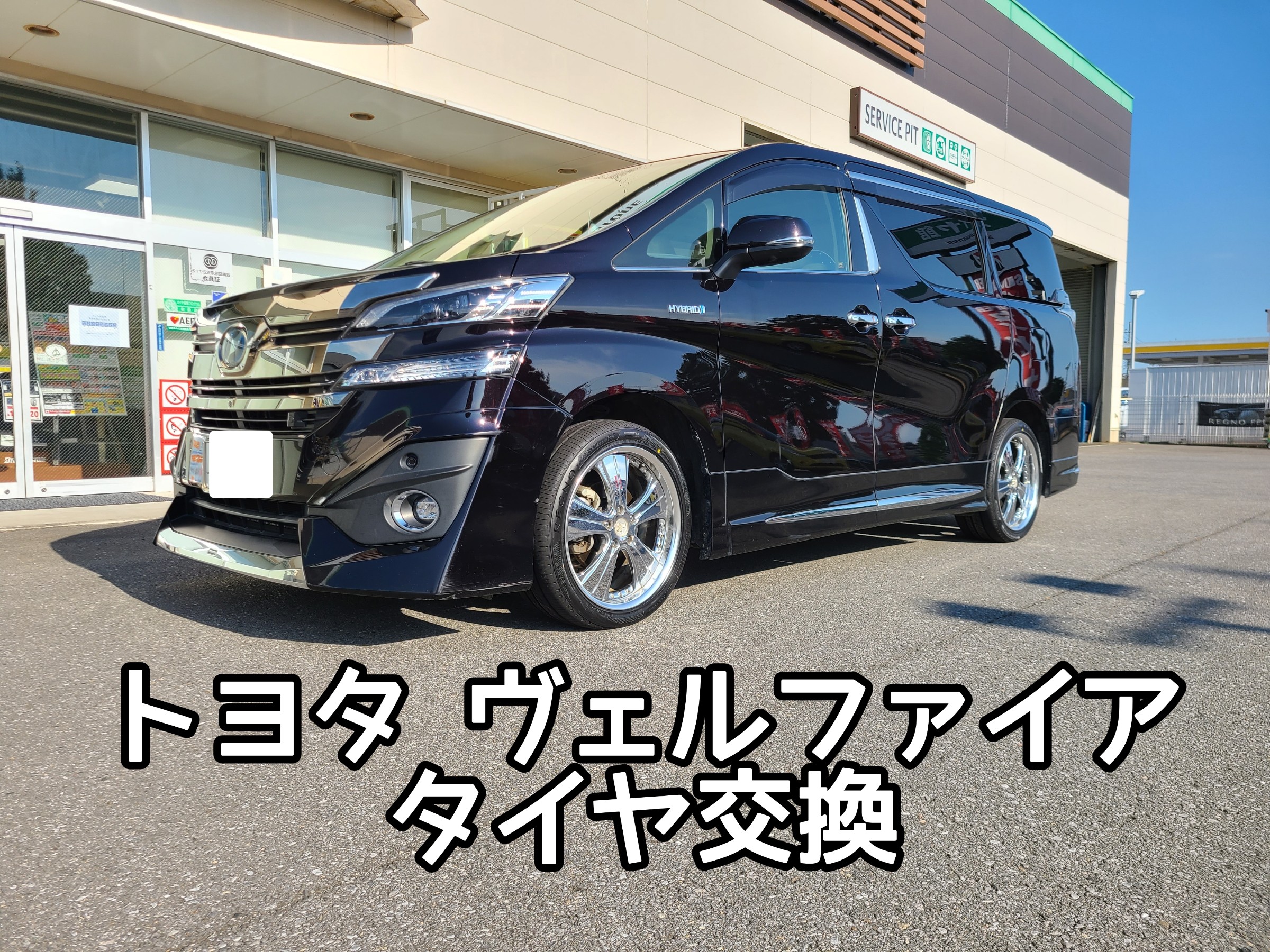 スタッフが撮影しました