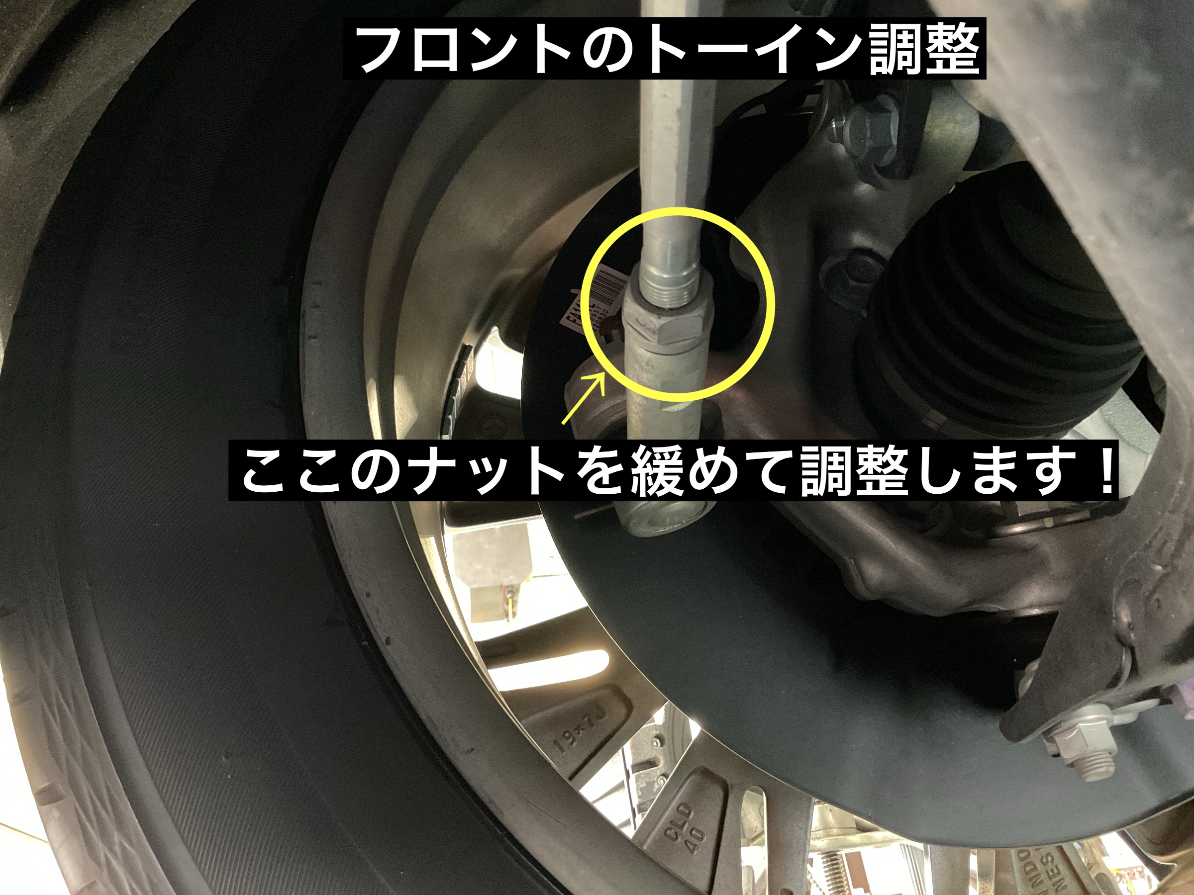 スタッフが撮影