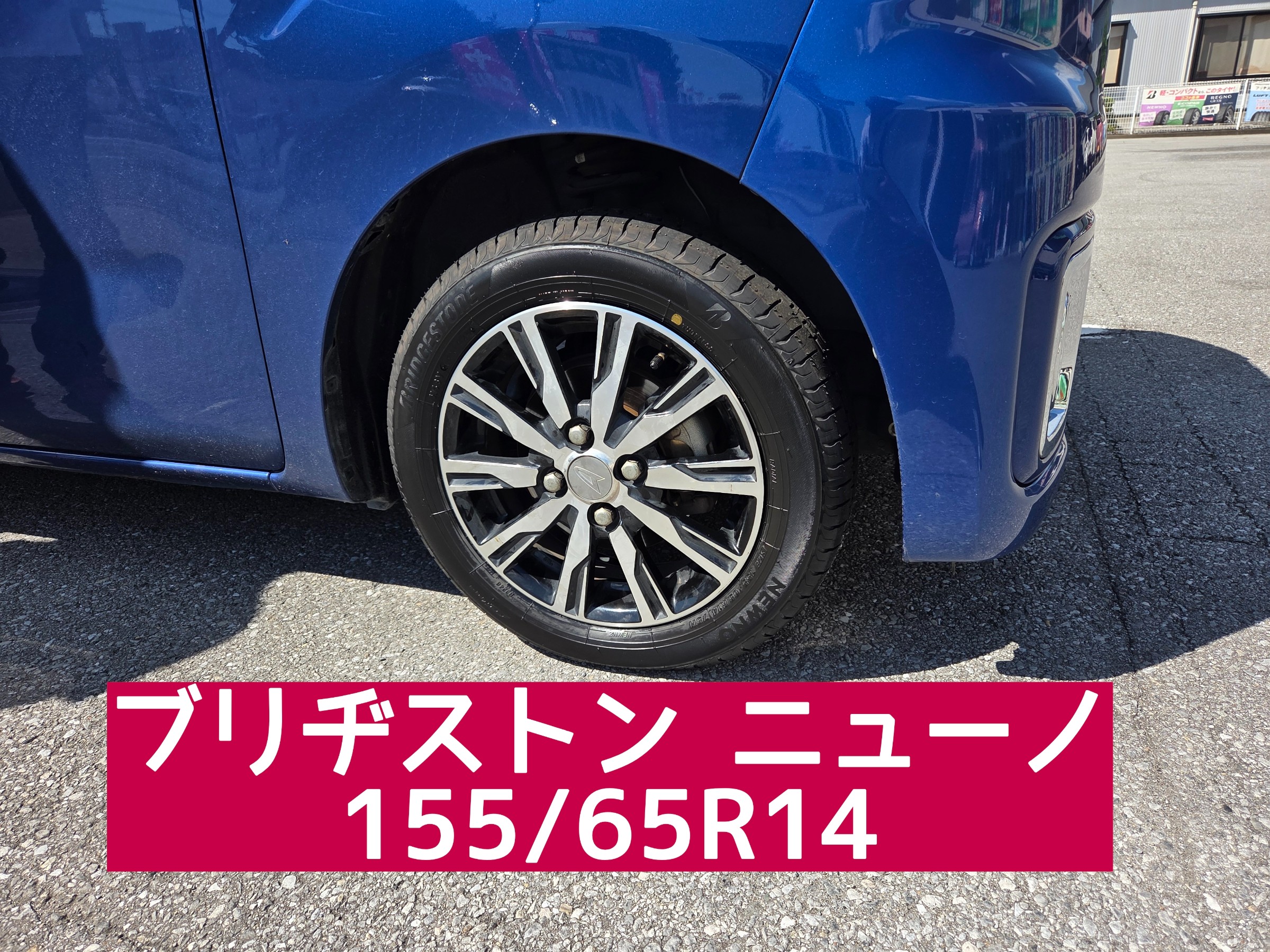 スタッフが撮影しました