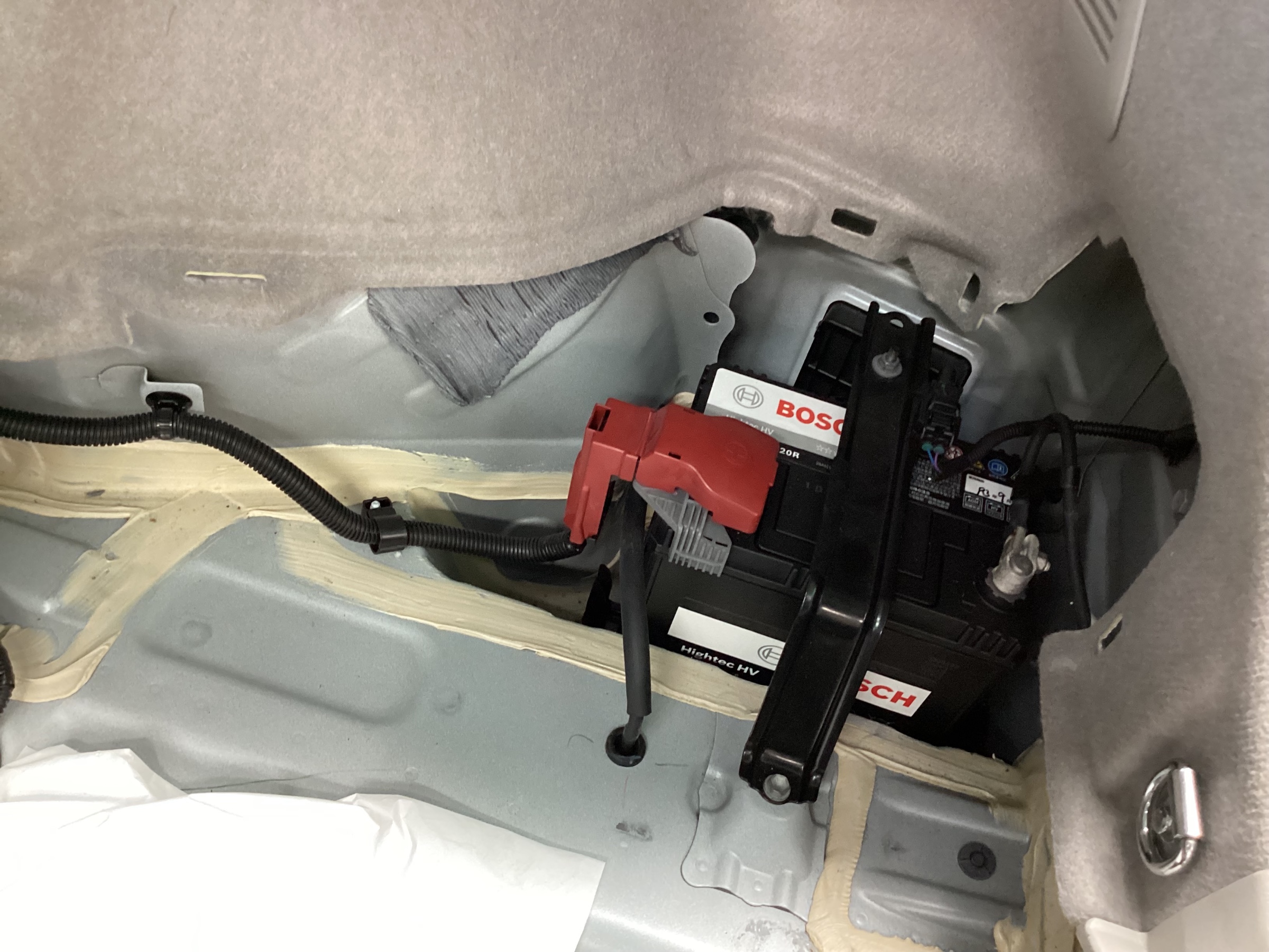 スタッフ撮影分