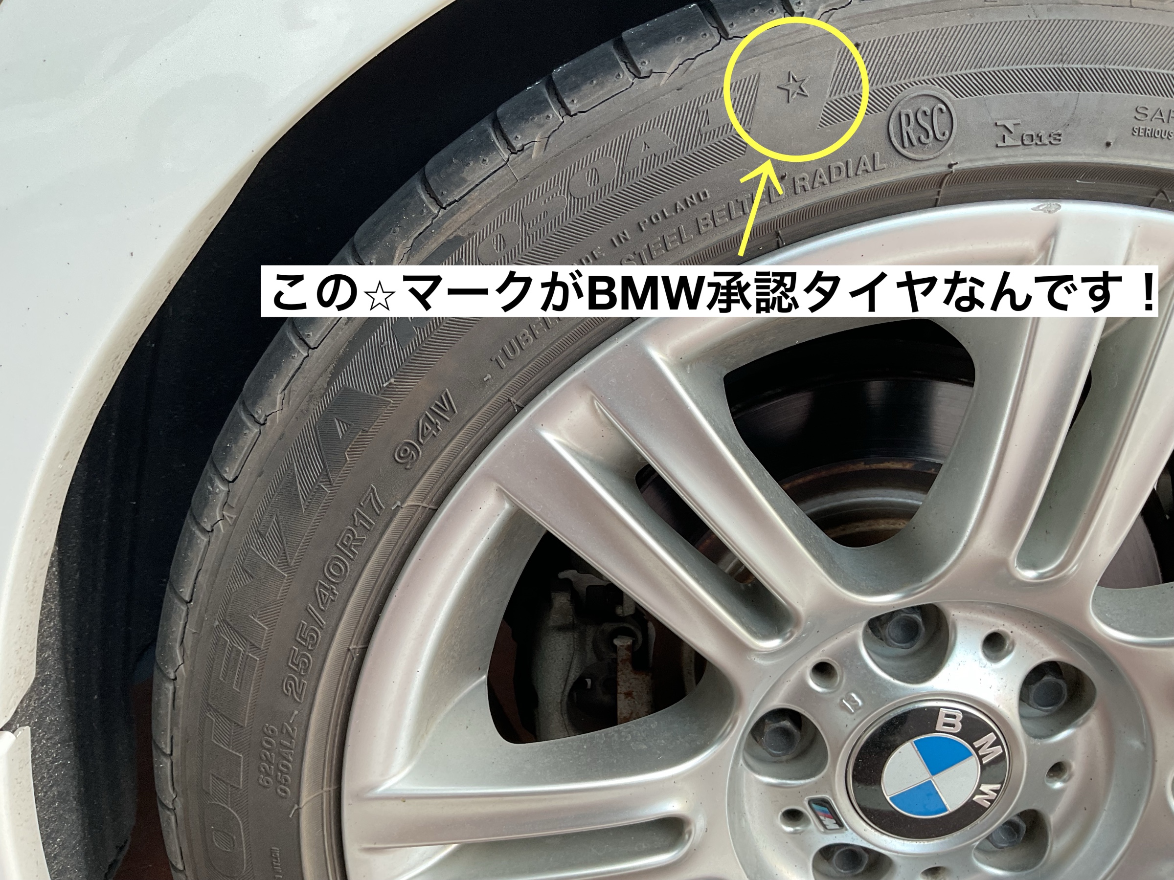 スタッフが撮影
