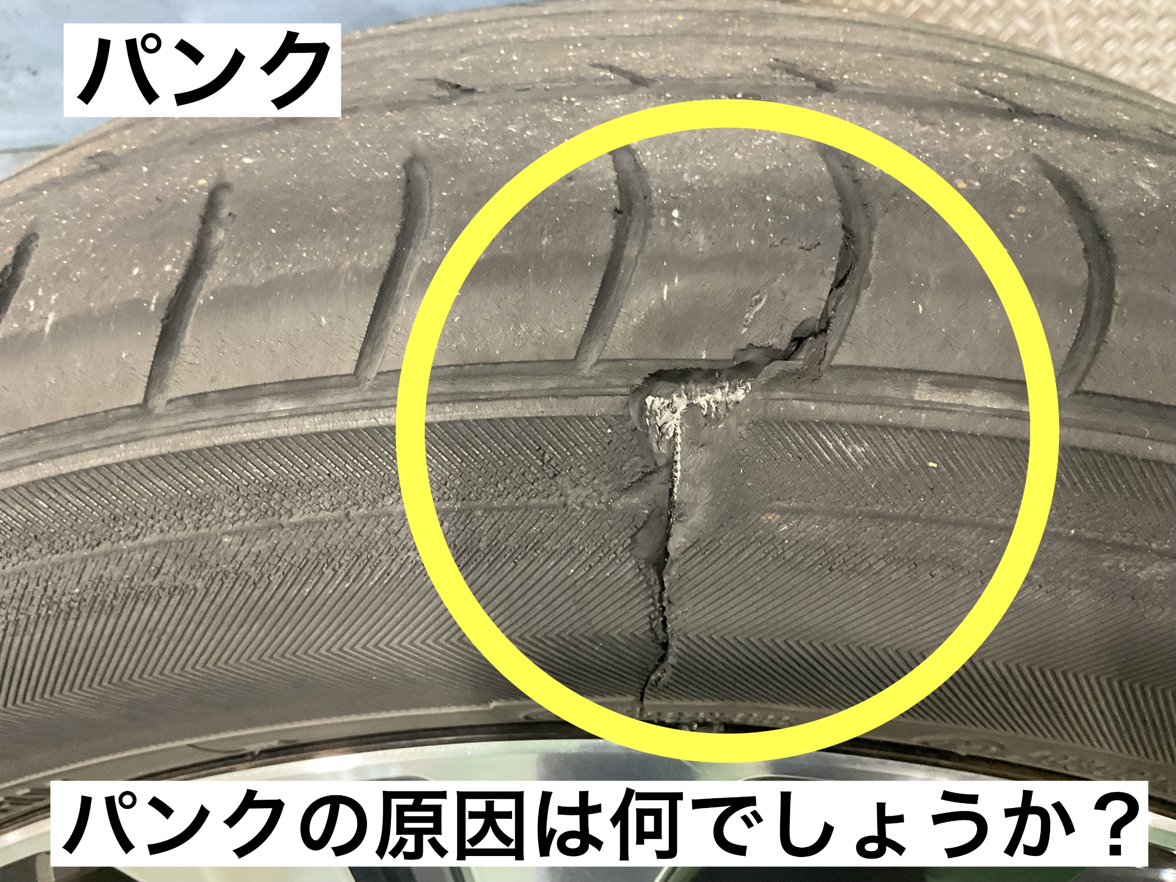 スタッフが撮影