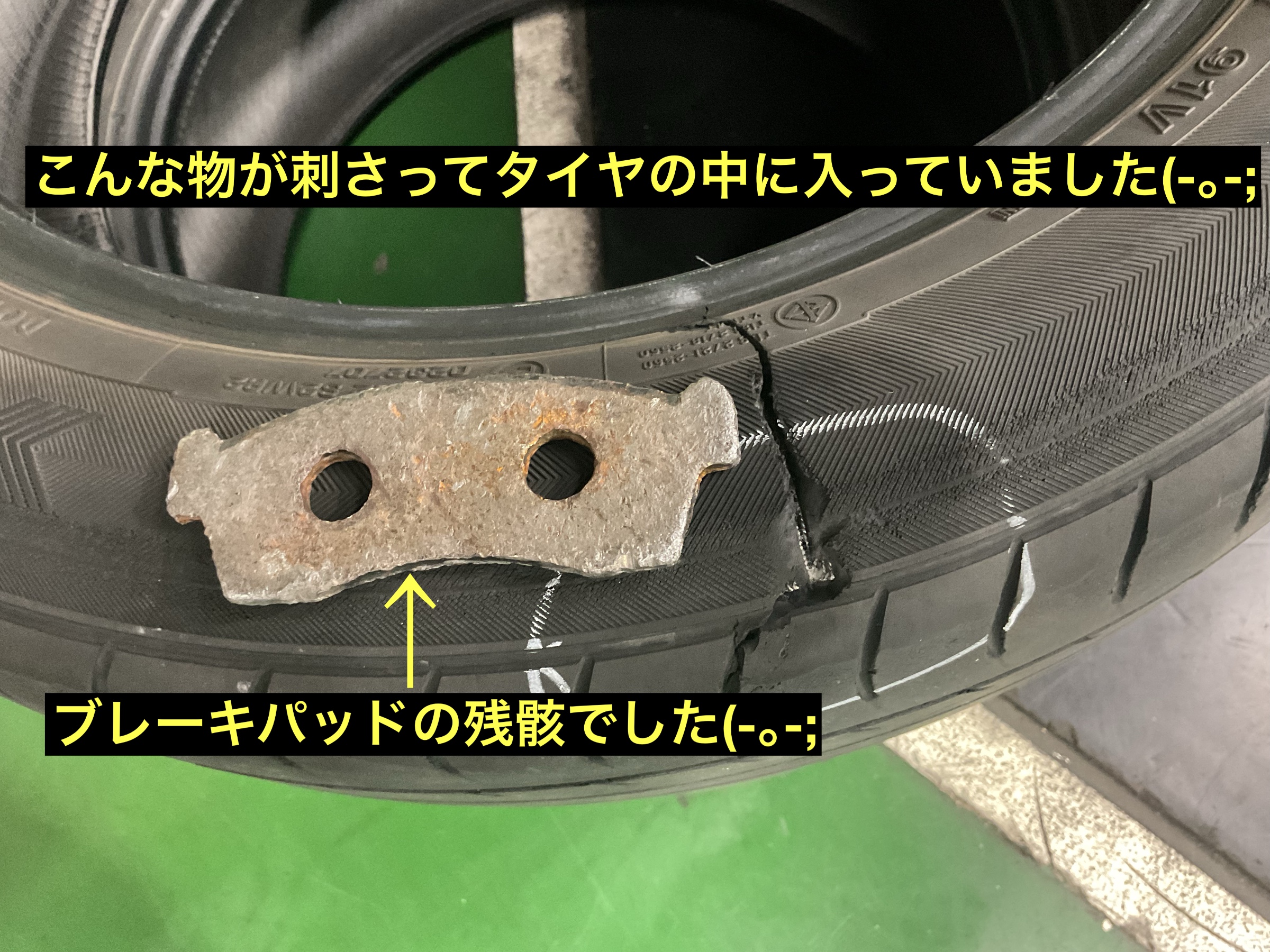 スタッフが撮影