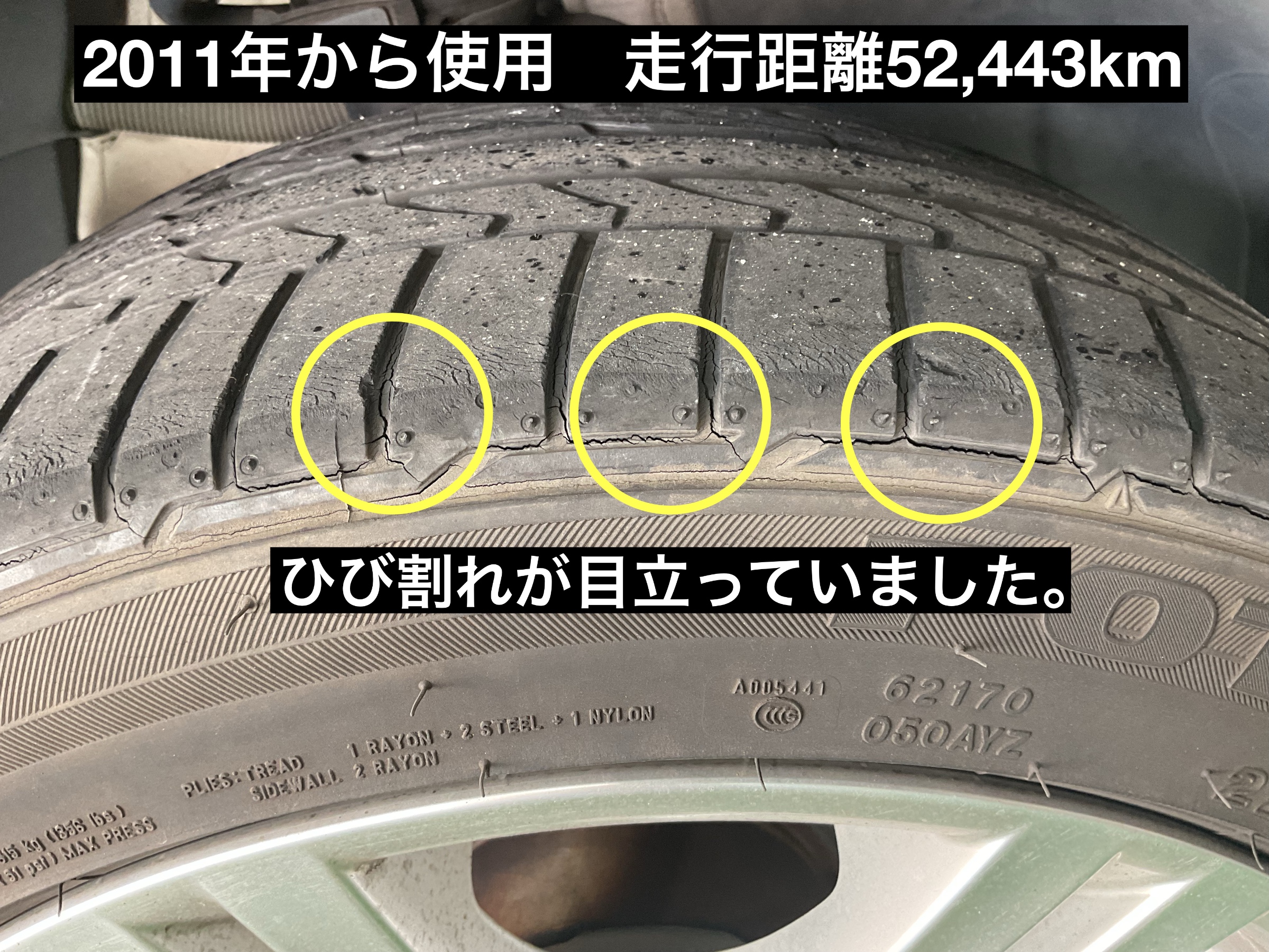 スタッフが撮影