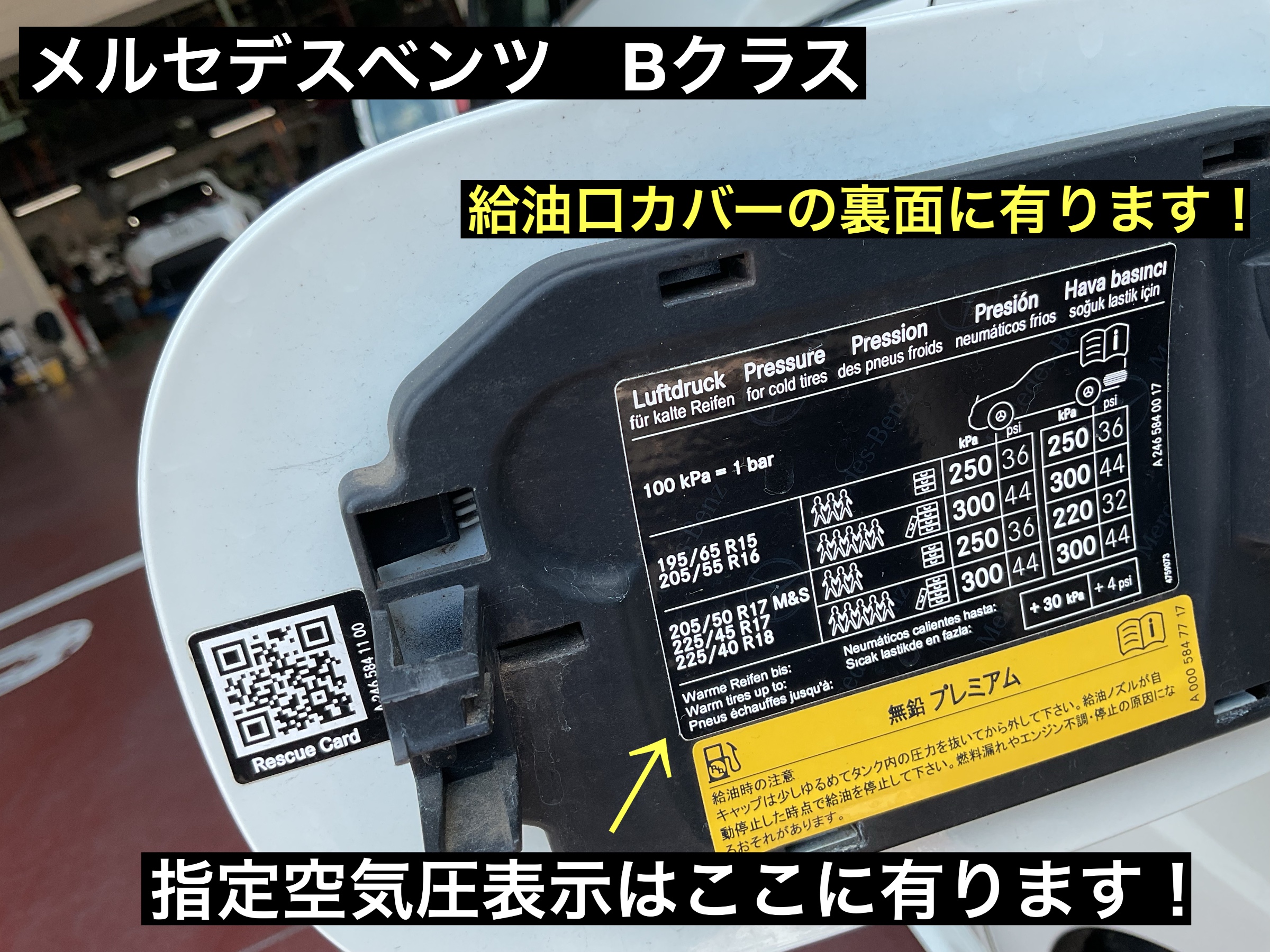 スタッフが撮影