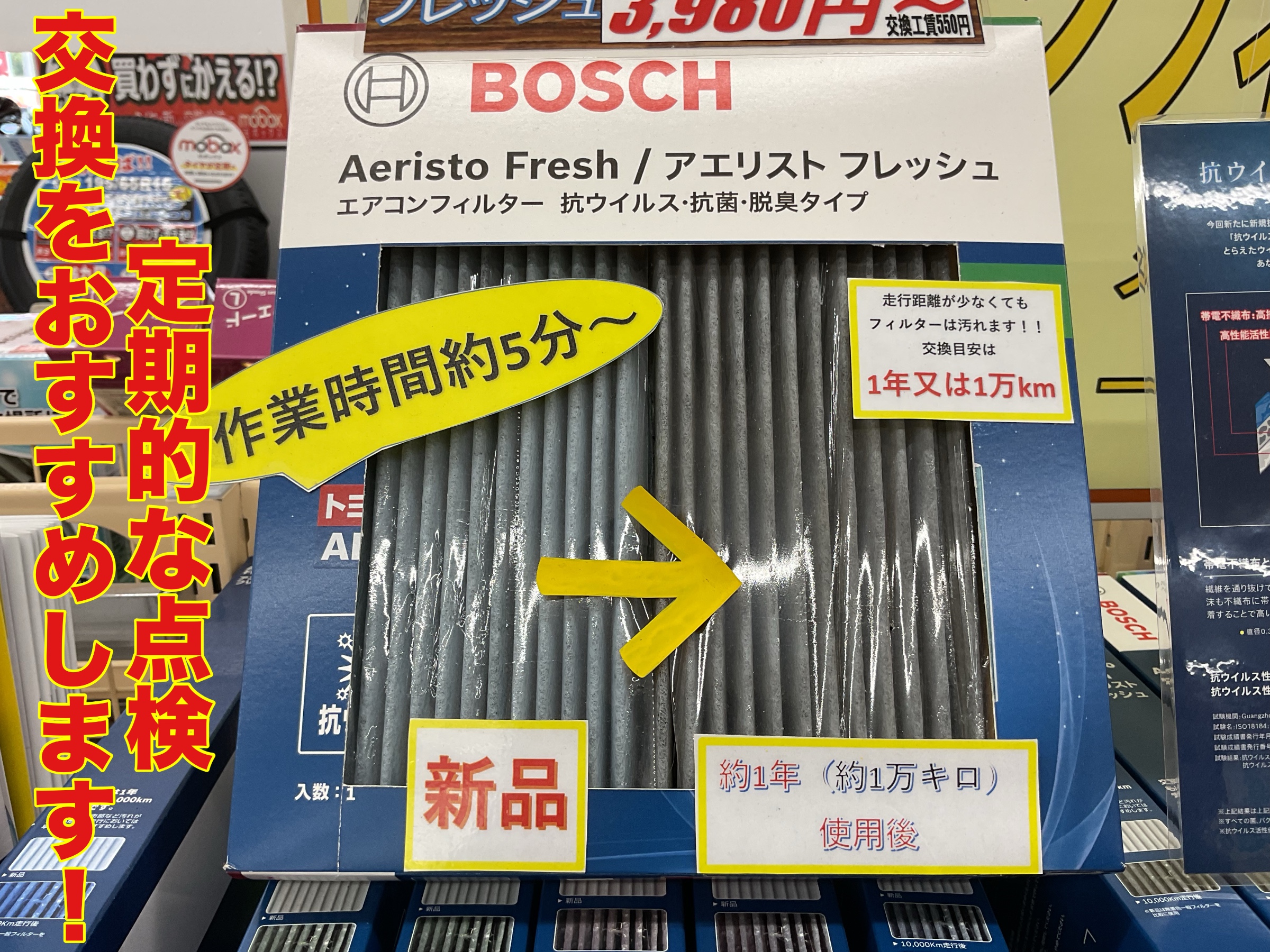 スタッフ撮影。無料画像編集アプリにて編集。