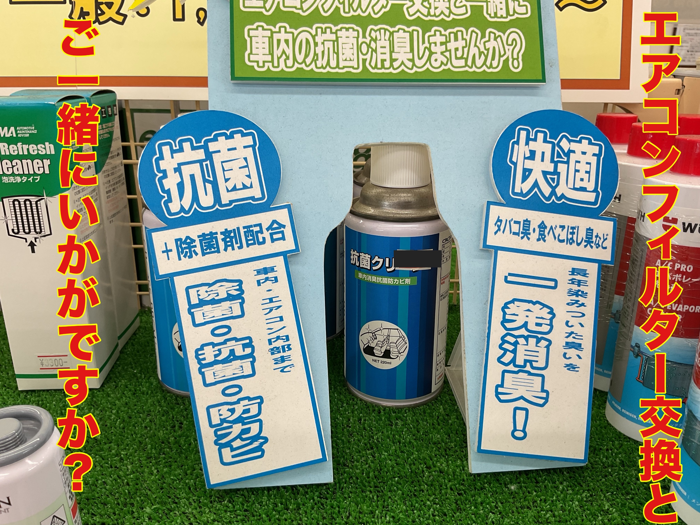 スタッフ撮影。無料画像編集アプリにて編集。