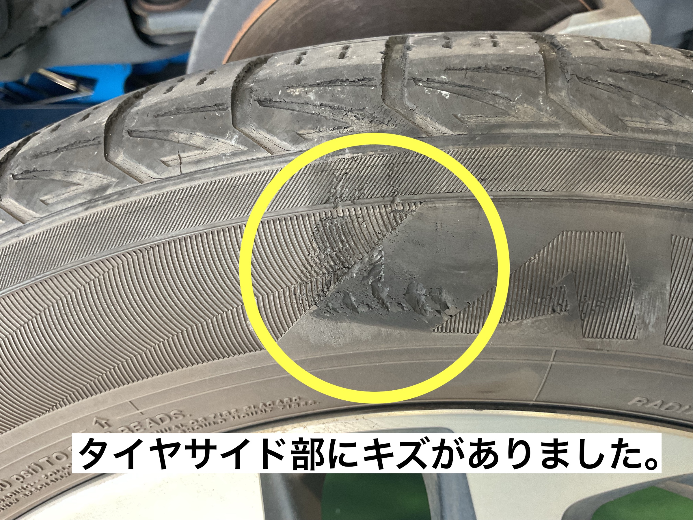 スタッフが撮影