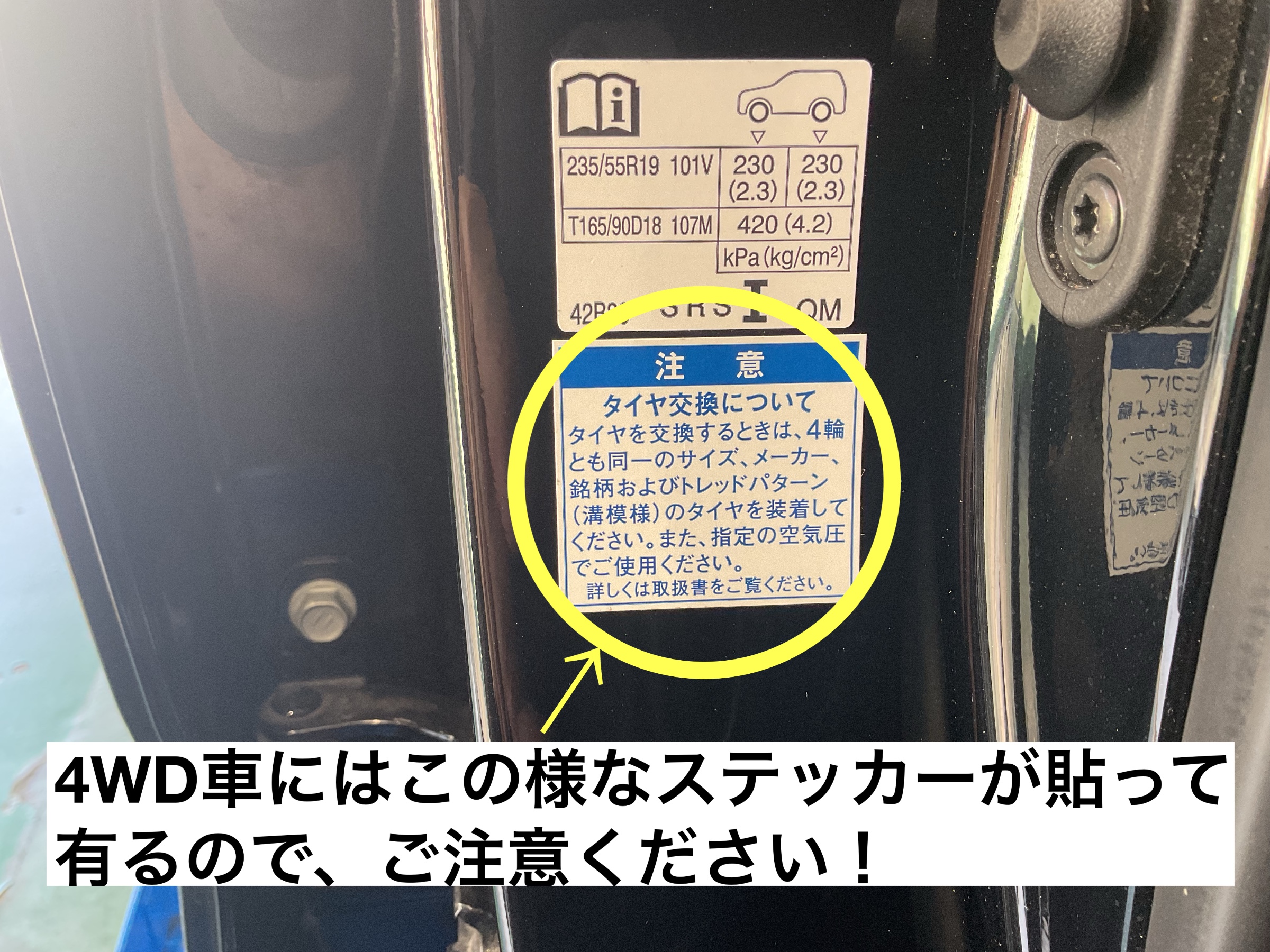スタッフが撮影