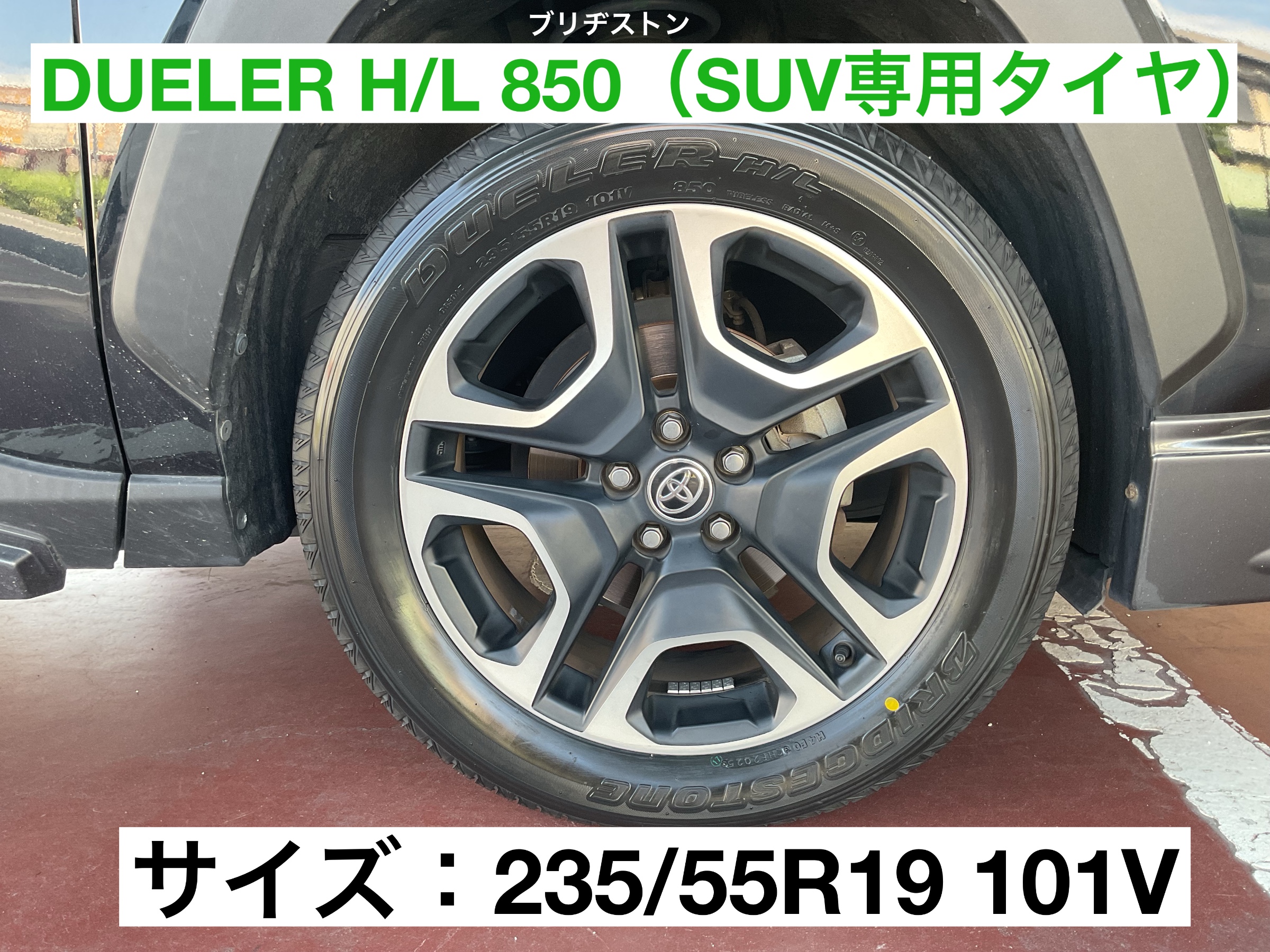 スタッフが撮影