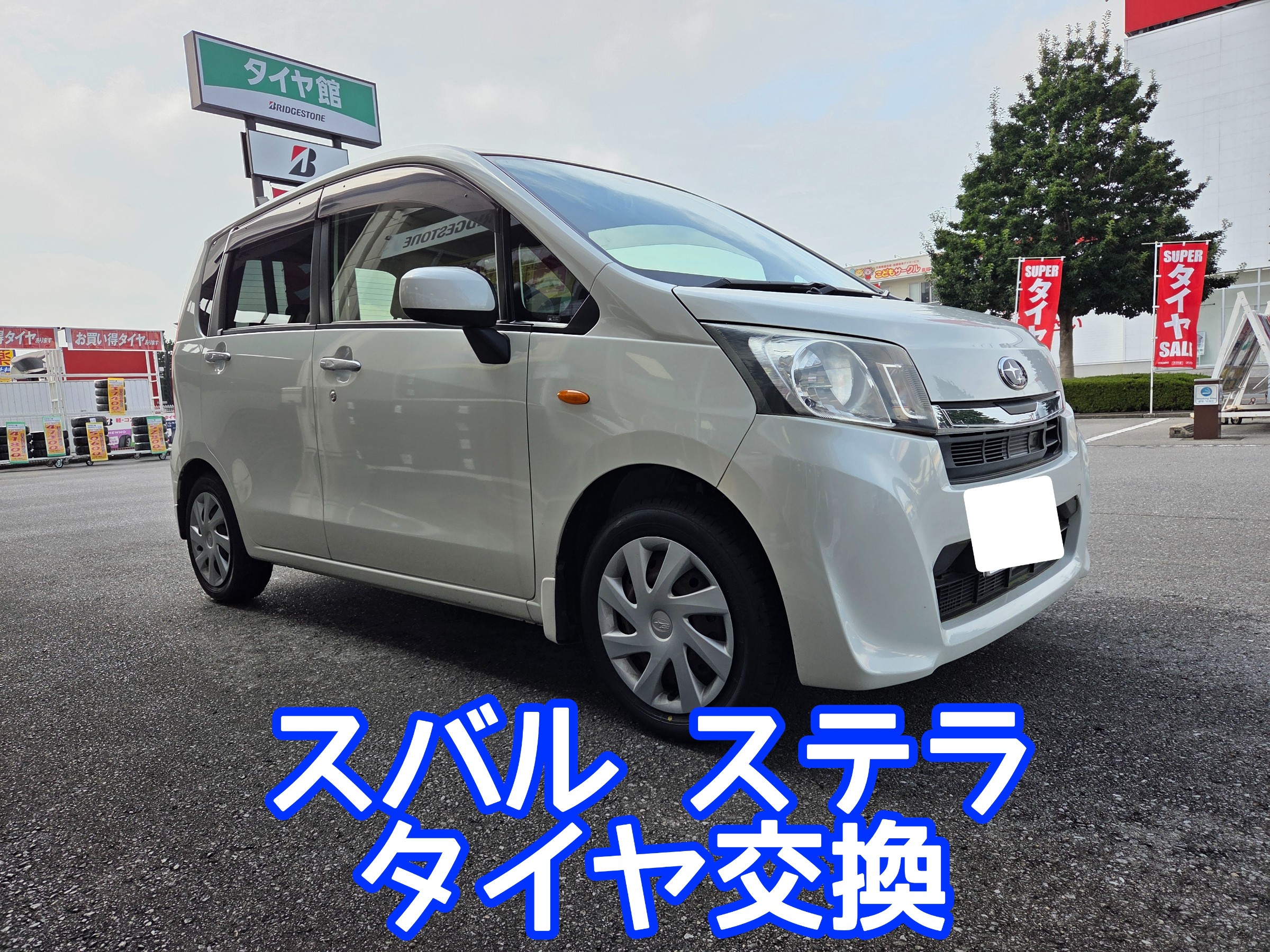 スタッフが撮影しました