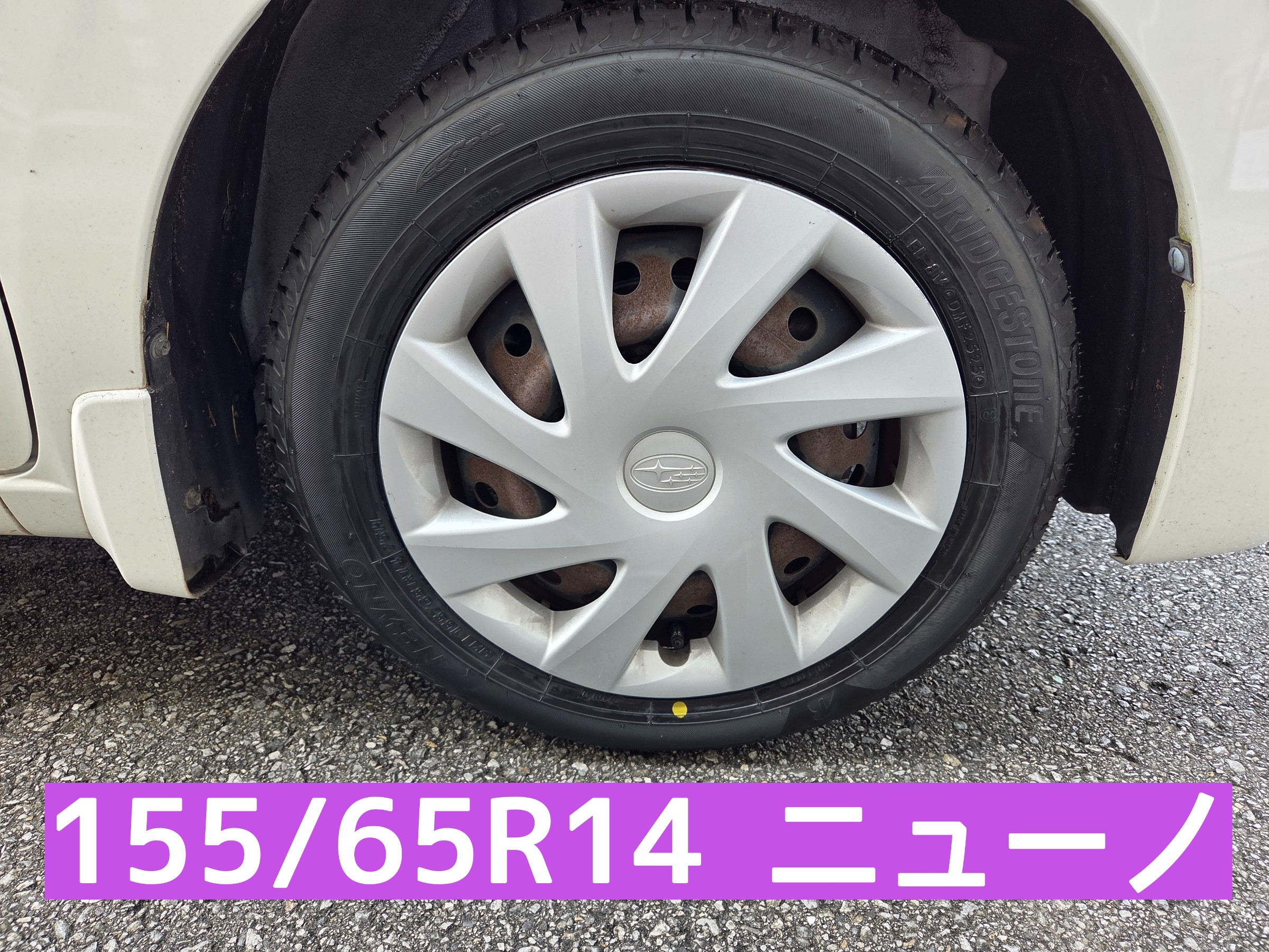 スタッフが撮影しました