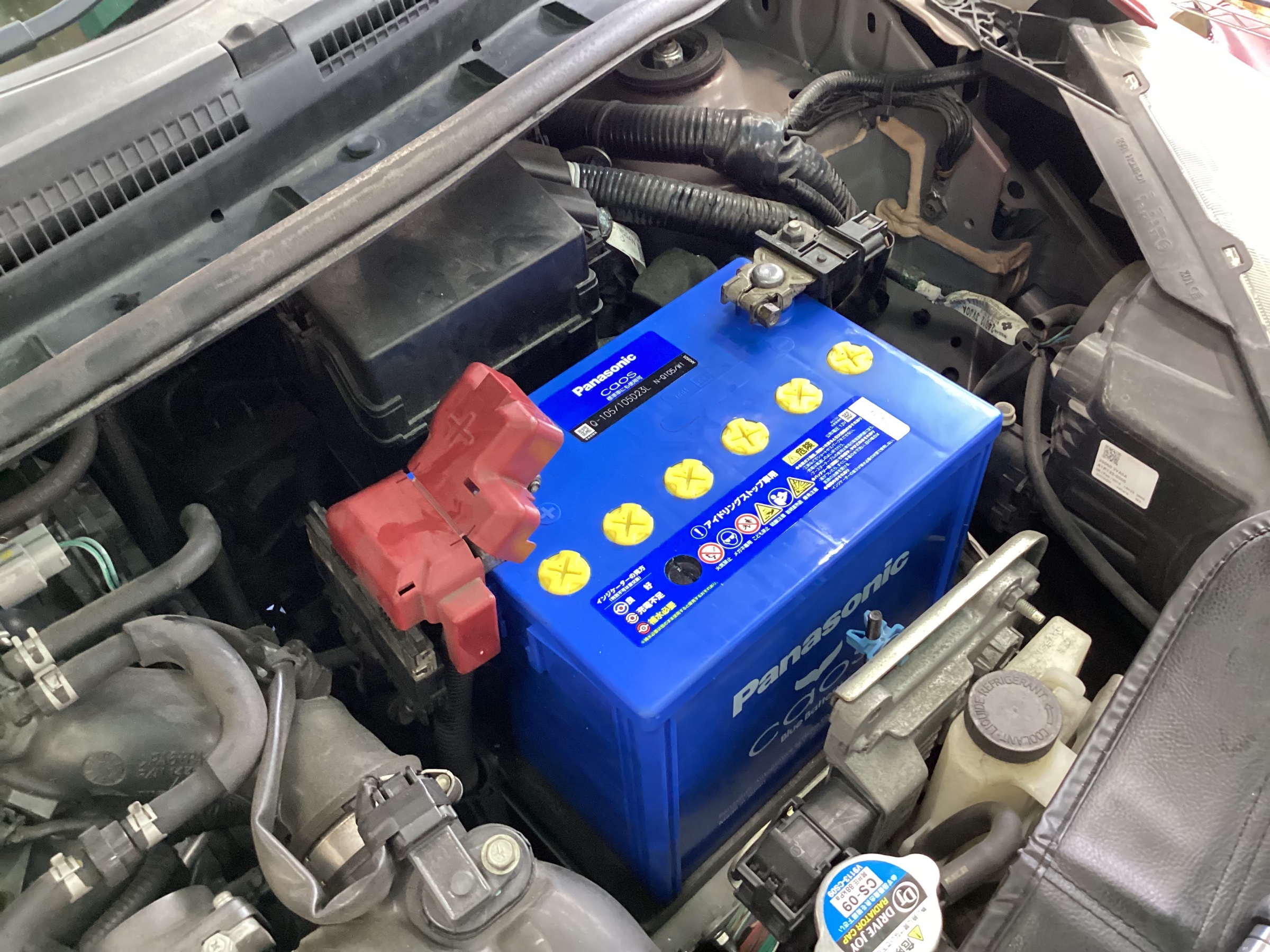 スタッフ撮影分