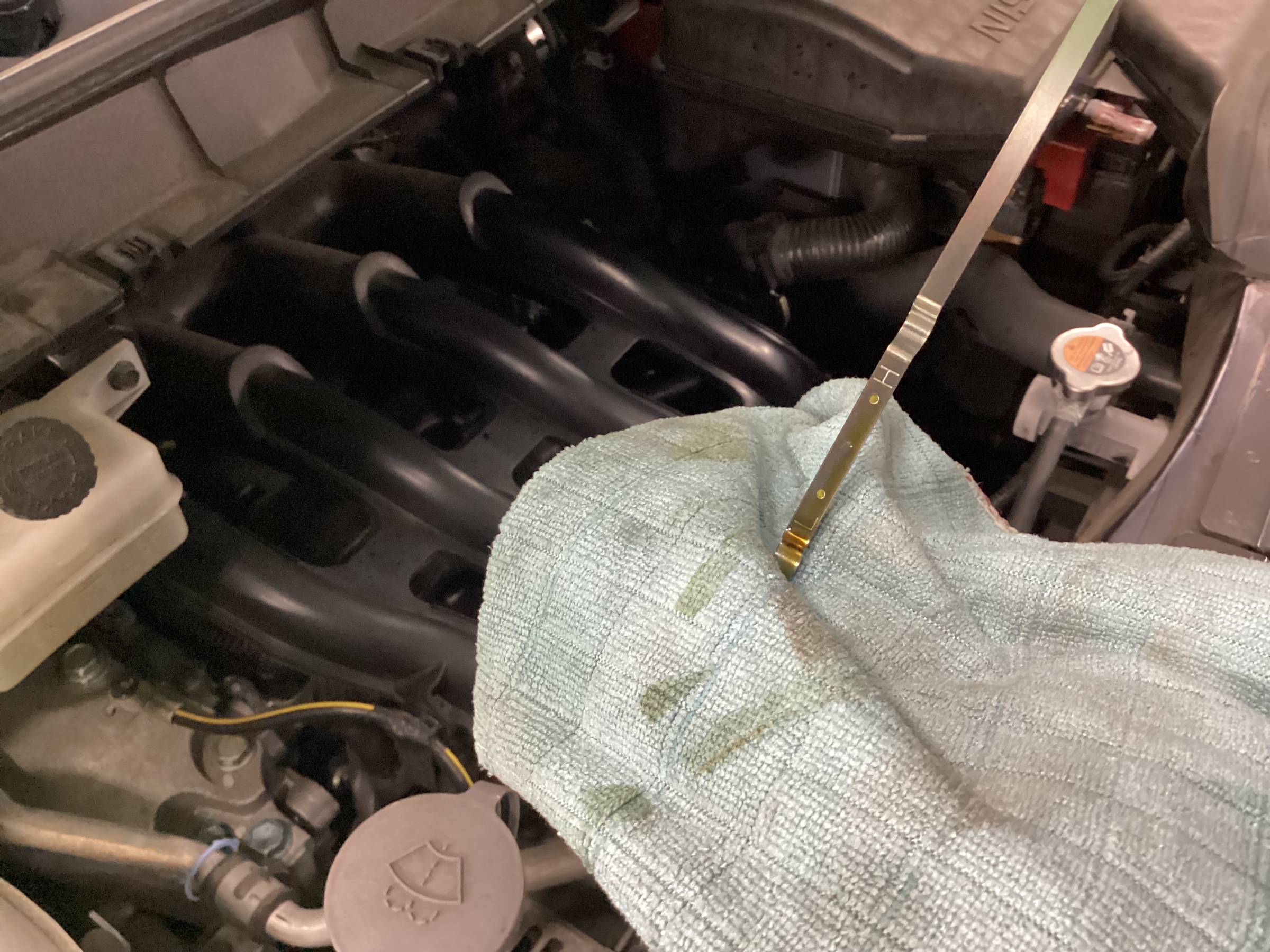 スタッフ撮影分