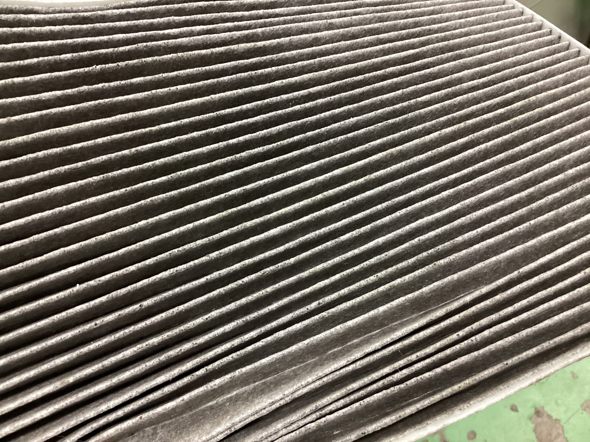 スタッフ撮影分