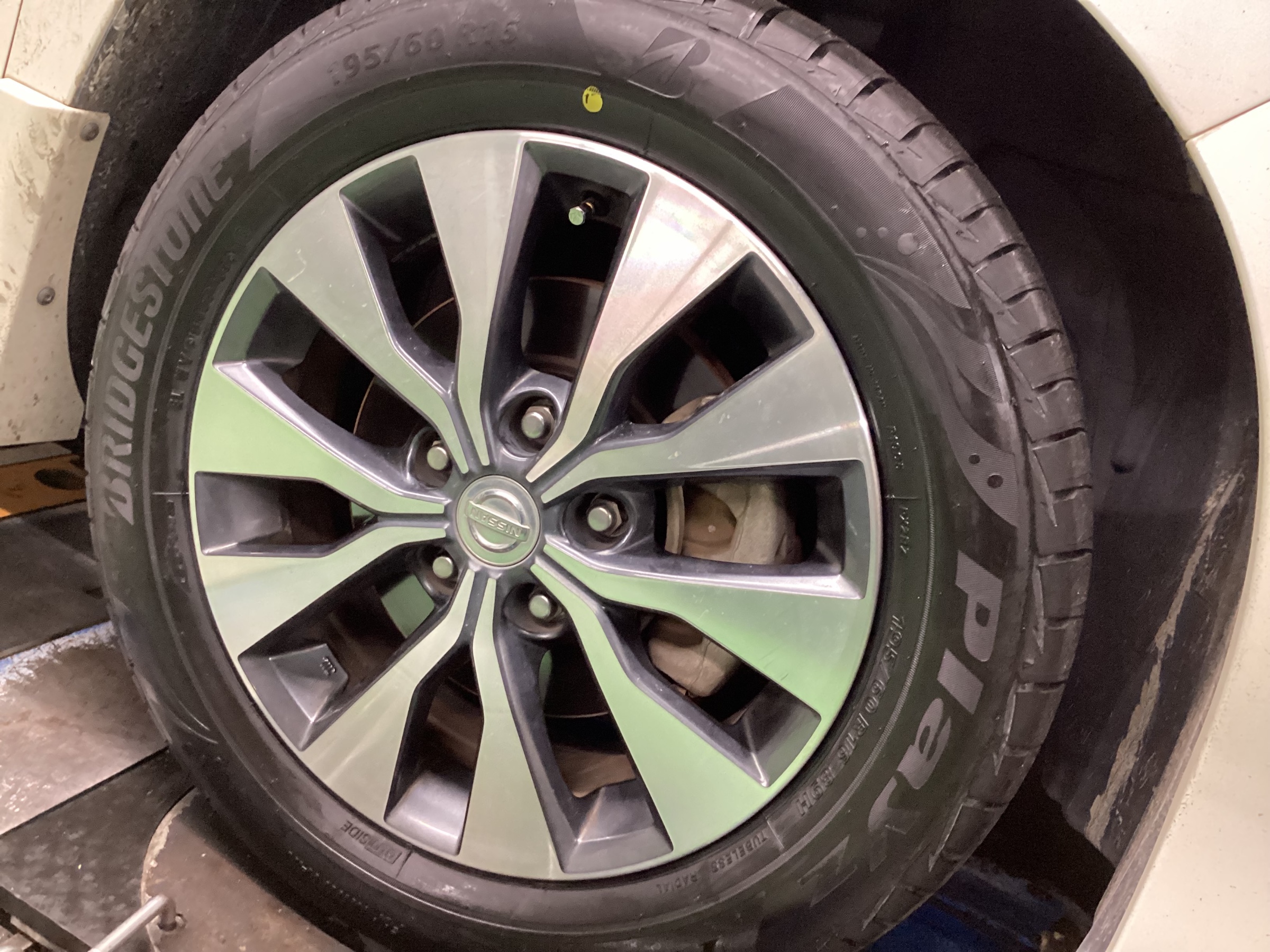 スタッフ撮影分