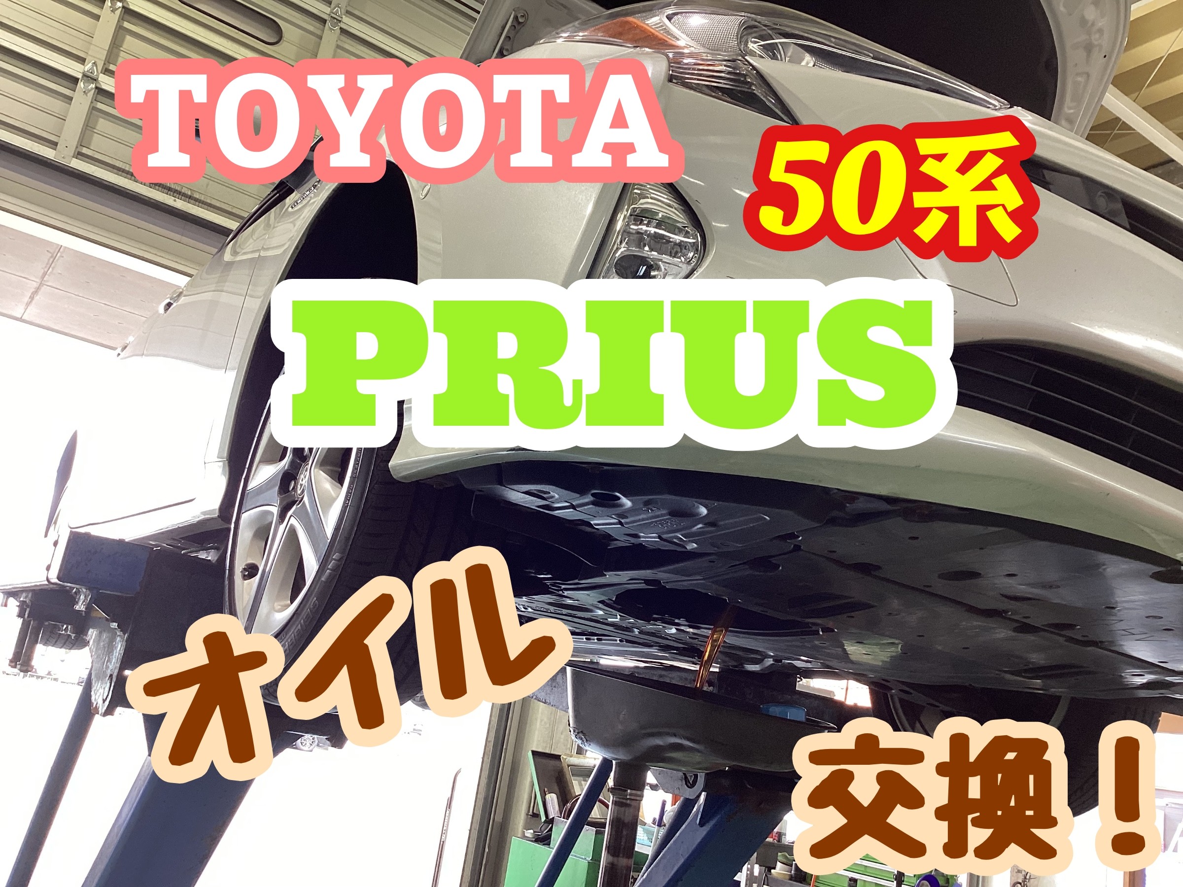 スタッフ撮影