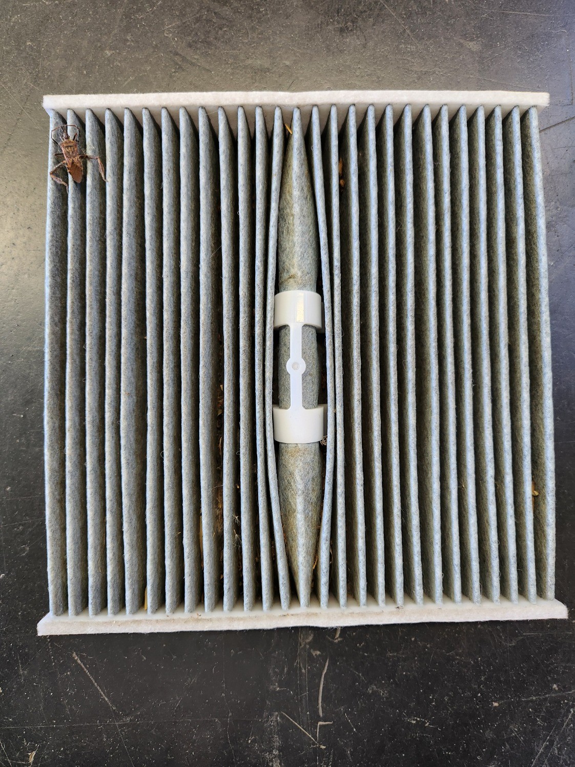 スタッフ撮影です。