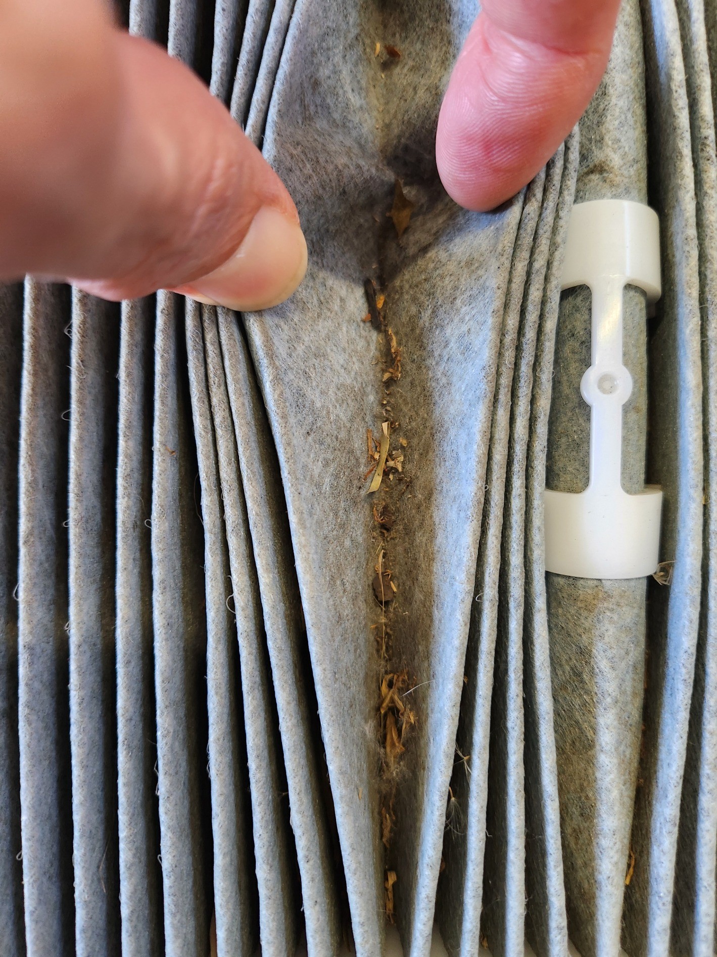 スタッフ撮影です。