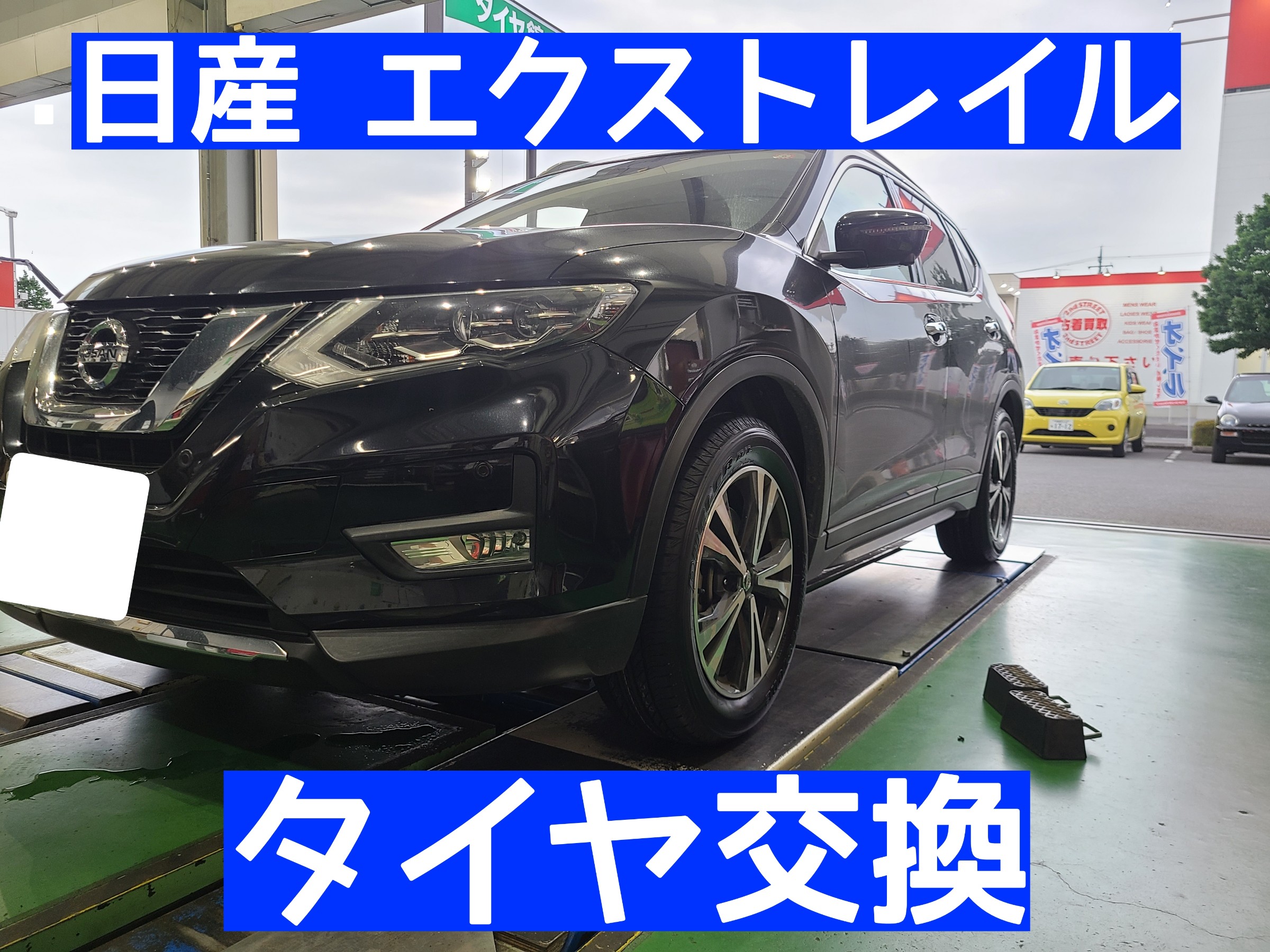 スタッフが撮影しました