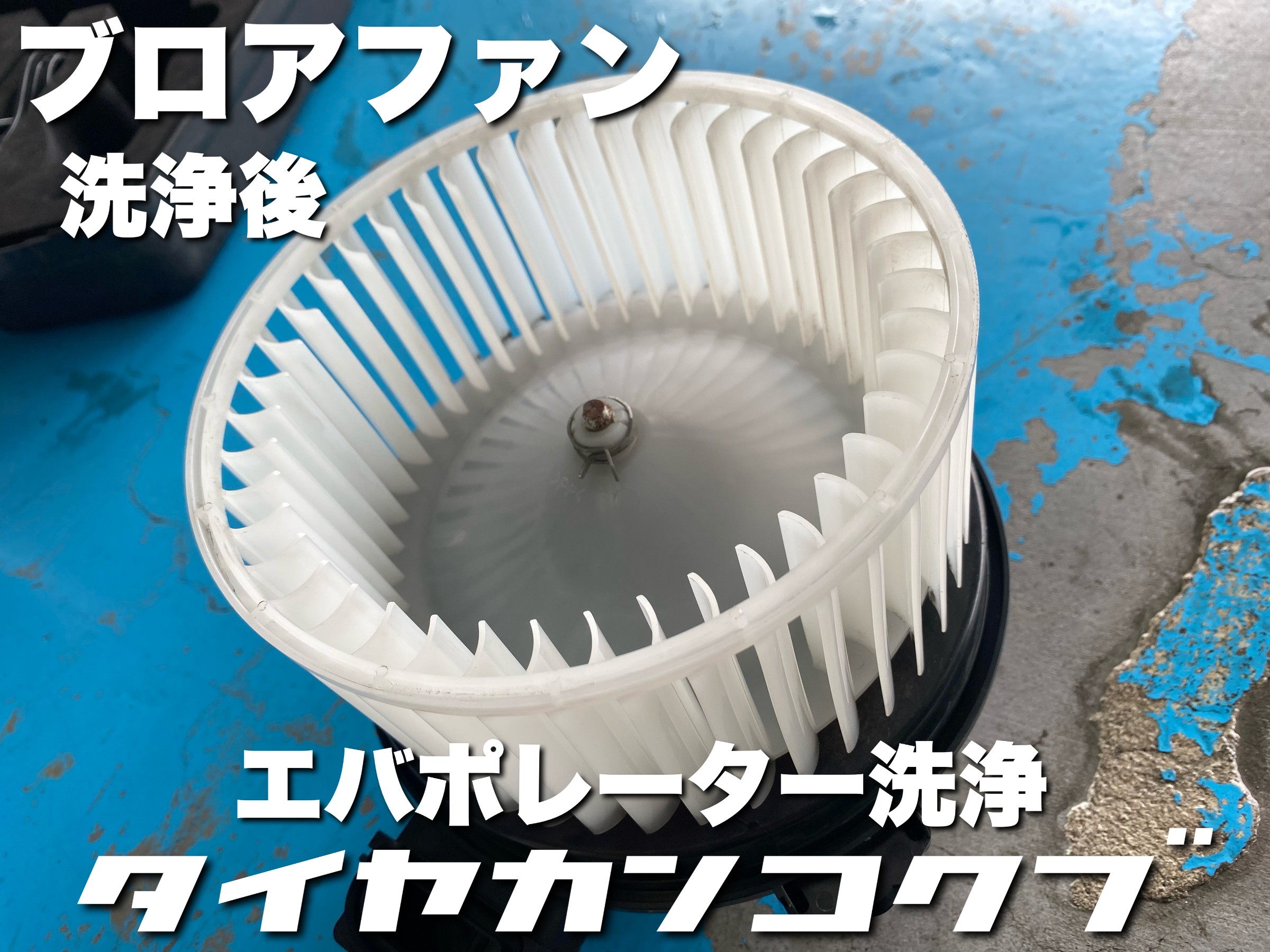 スタッフが撮影した画像