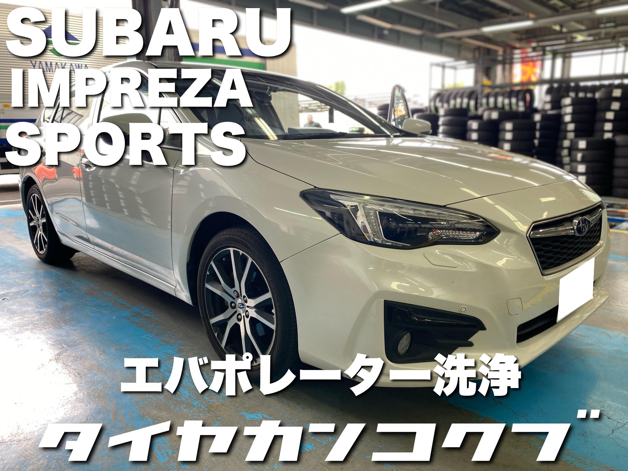 スタッフが撮影した画像