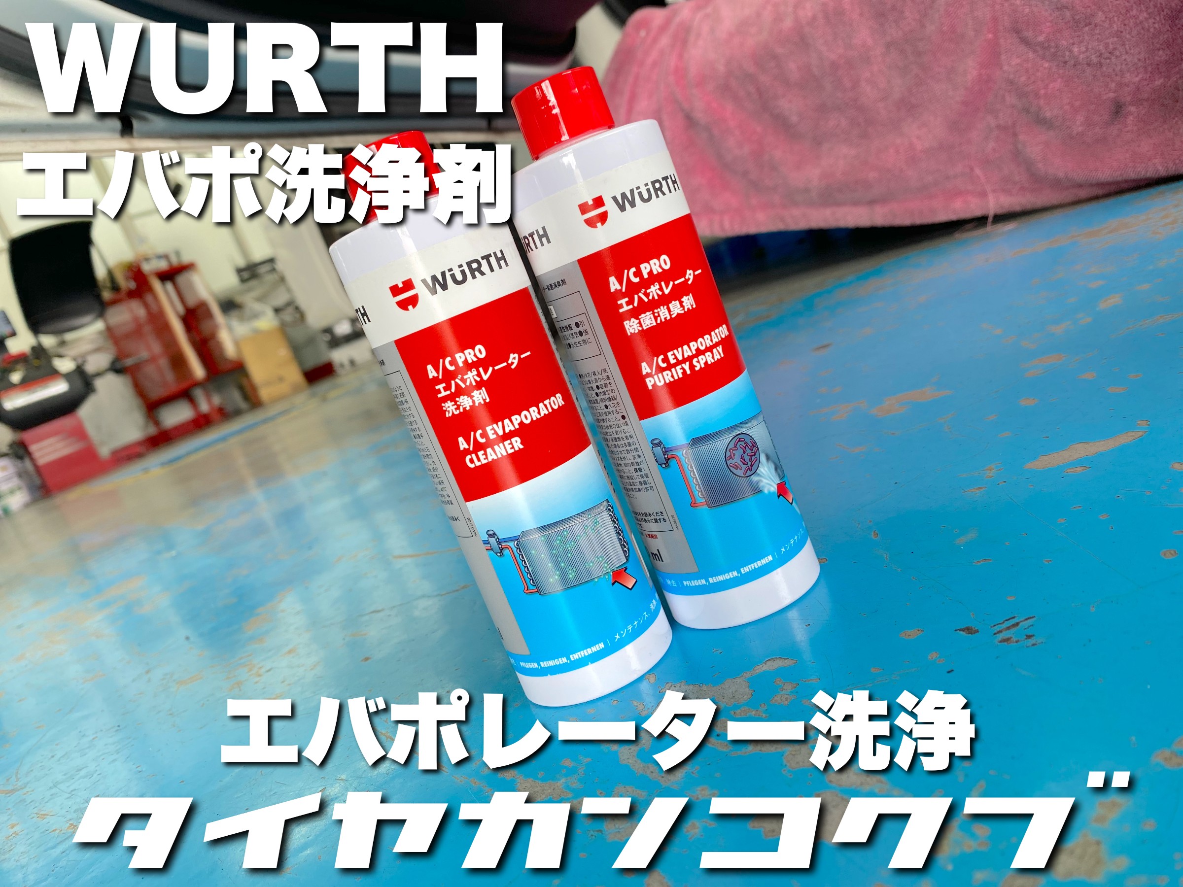 スタッフが撮影した画像