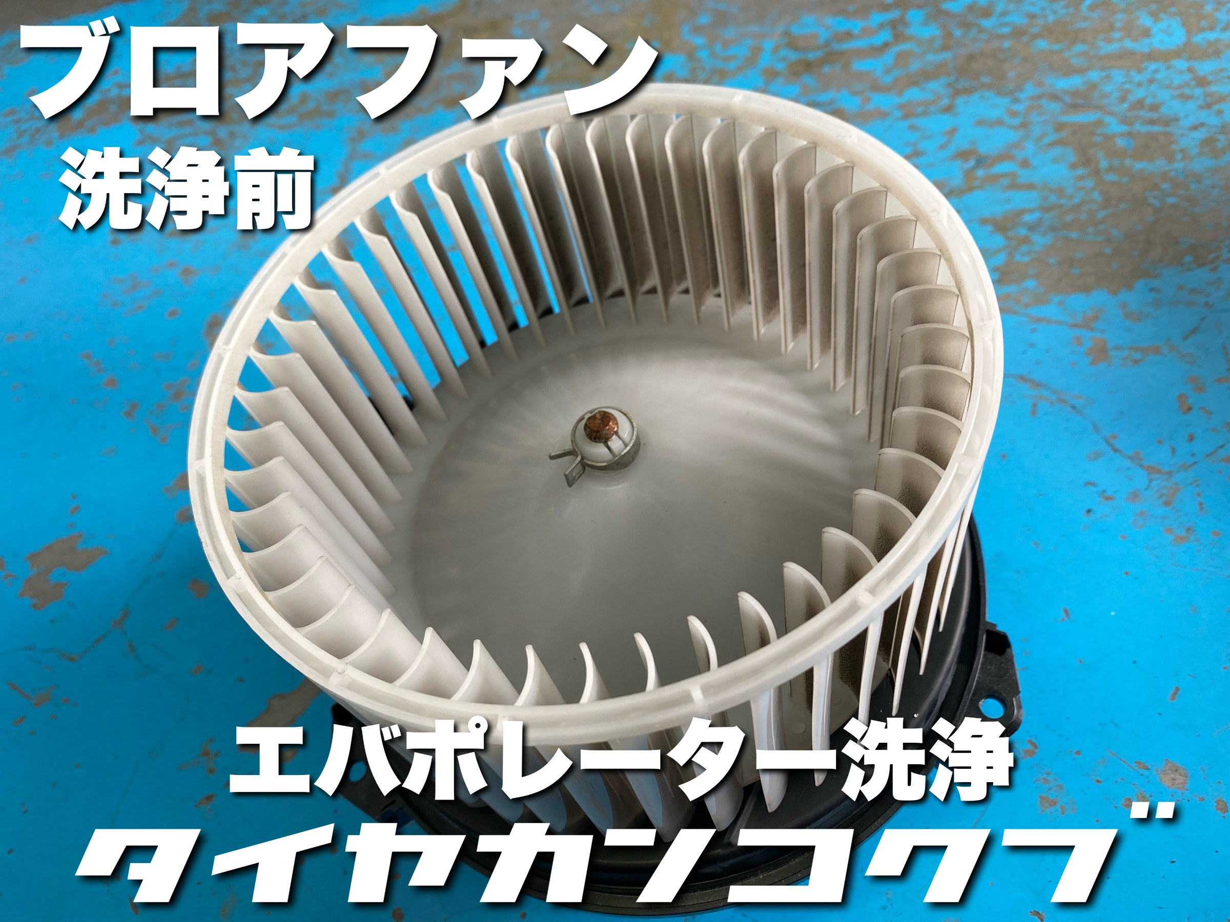 スタッフが撮影した画像