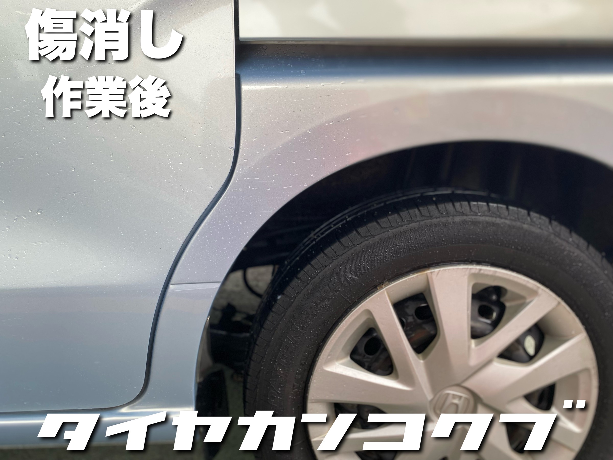 スタッフが撮影した画像