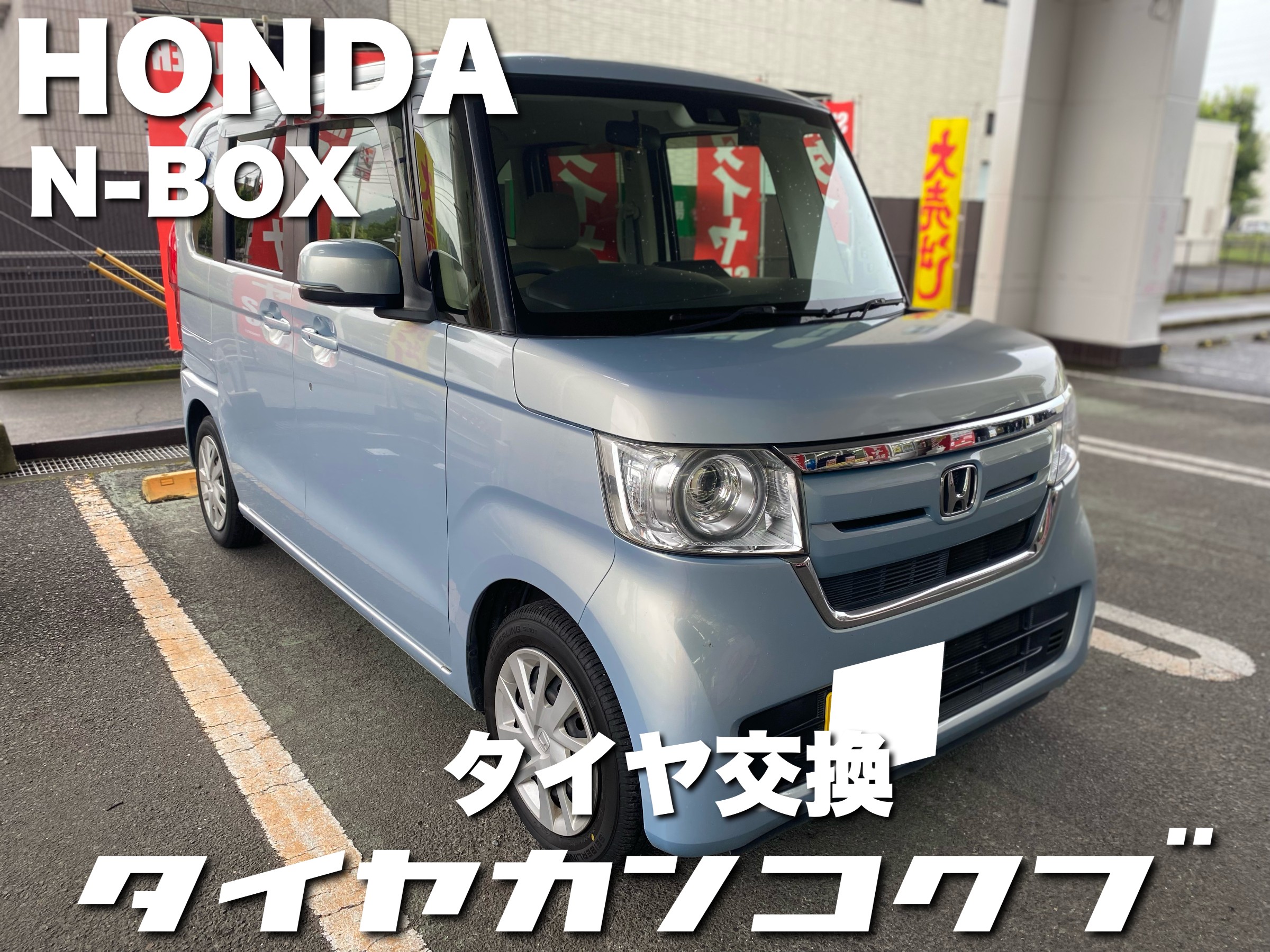 スタッフが撮影した画像