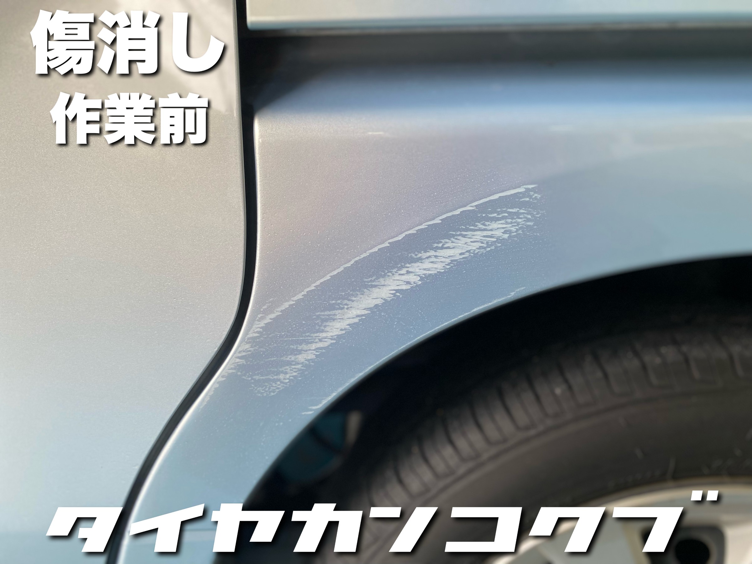 スタッフが撮影した画像