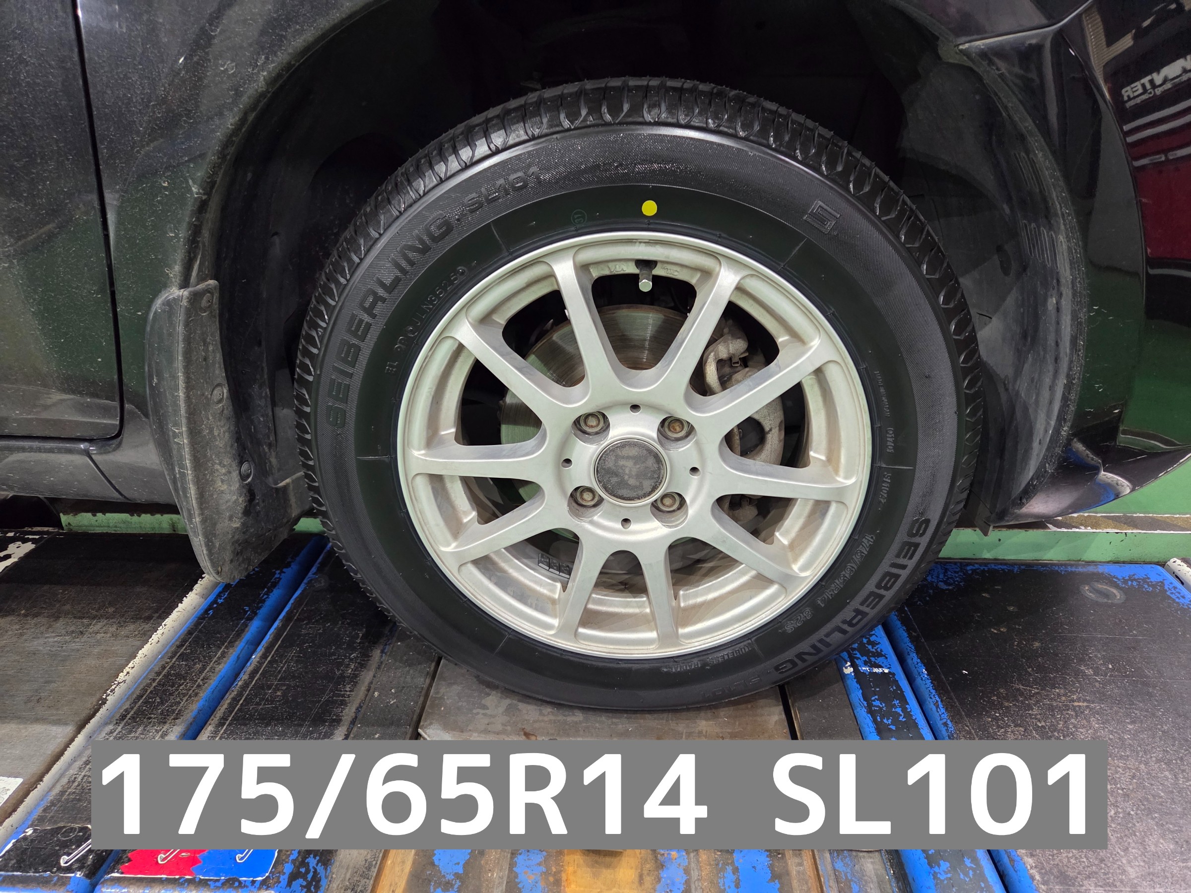 スタッフが撮影しました