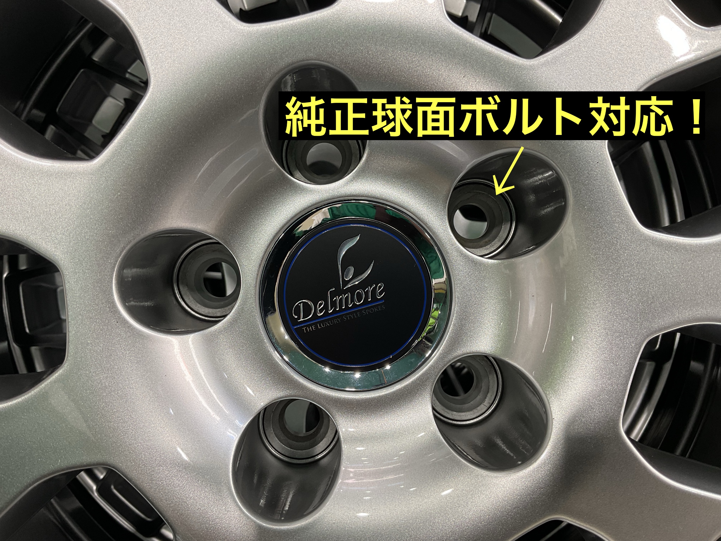 スタッフが撮影