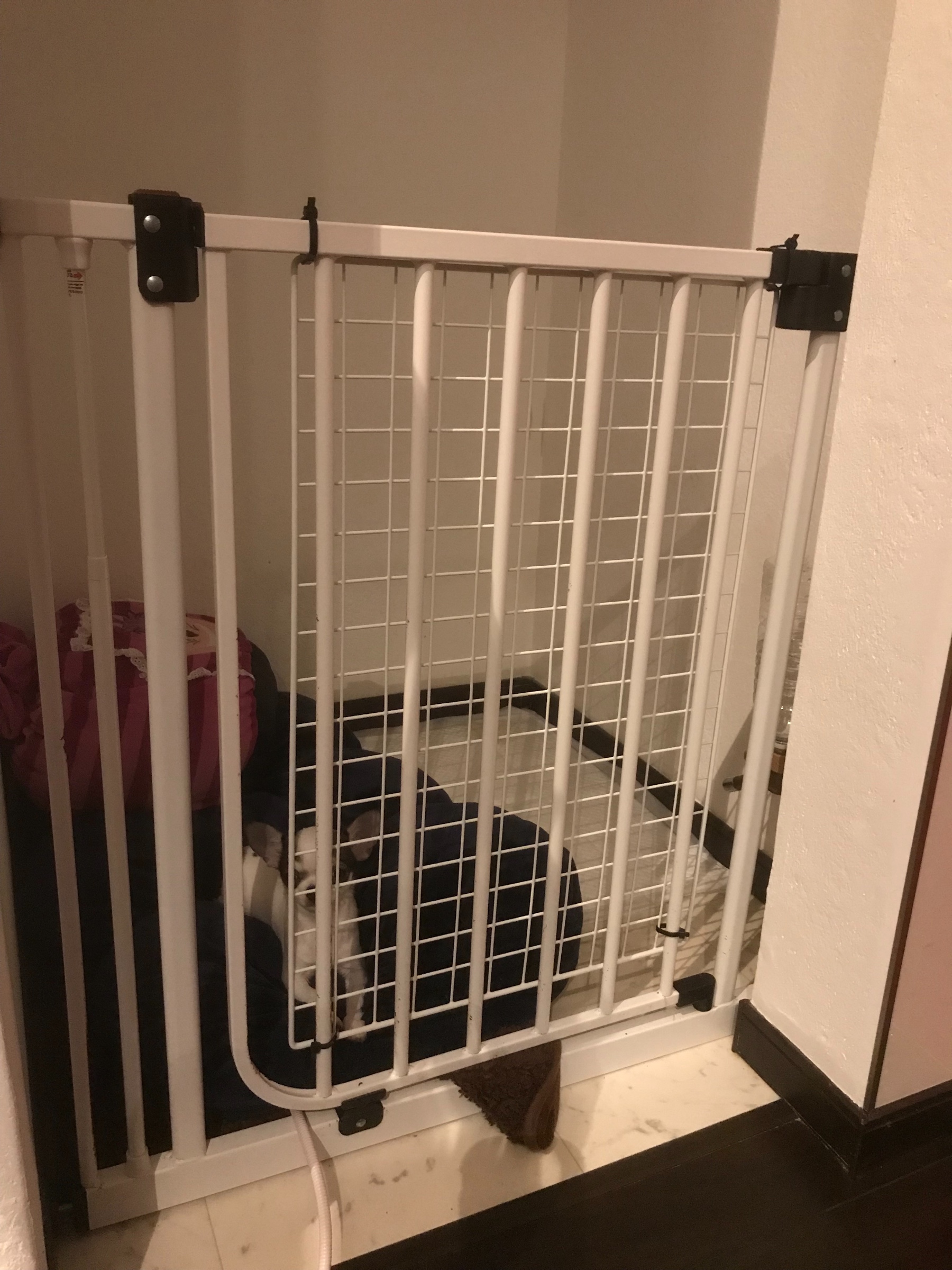 スタッフが撮影した写真です