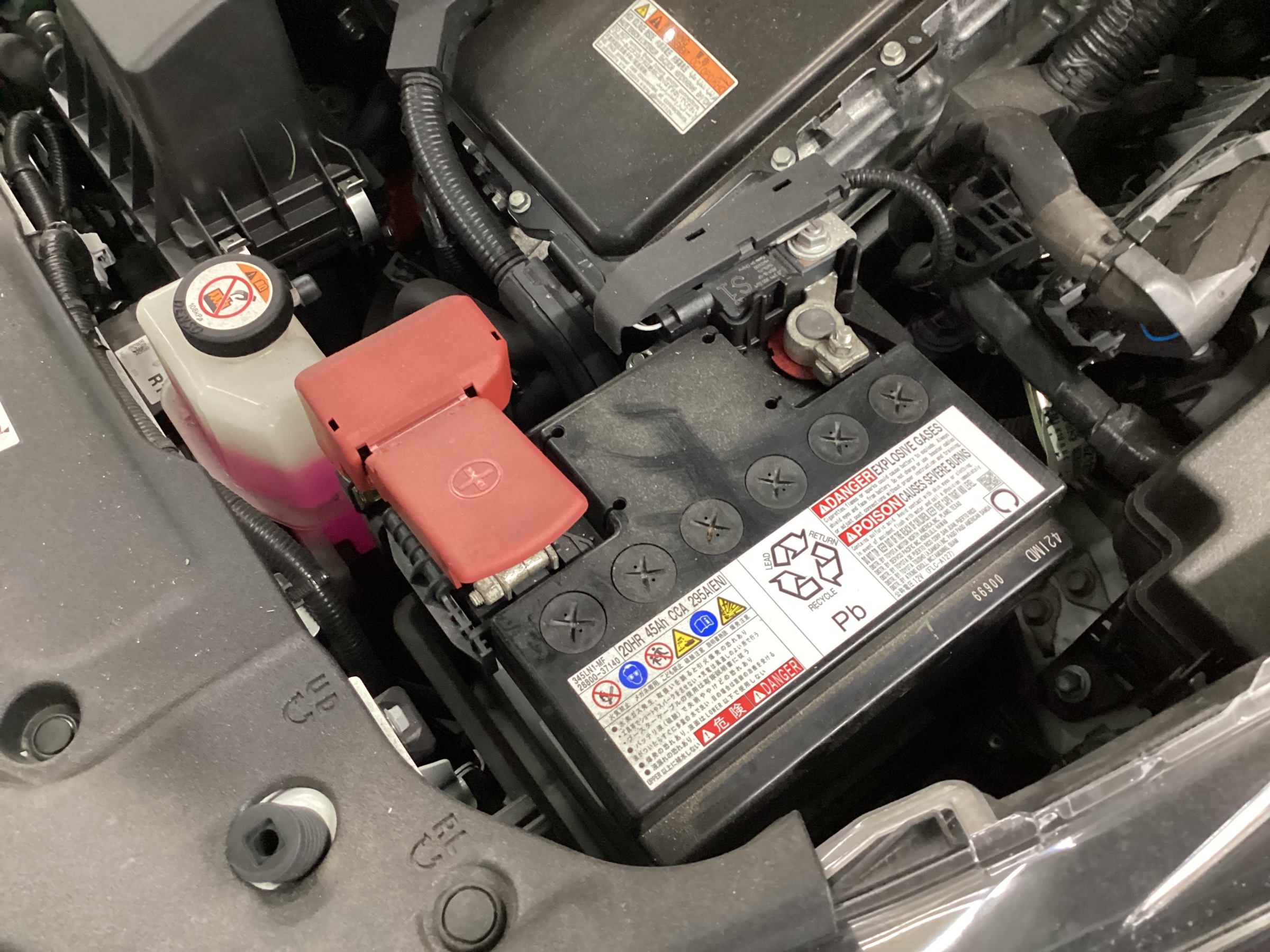 スタッフ撮影分