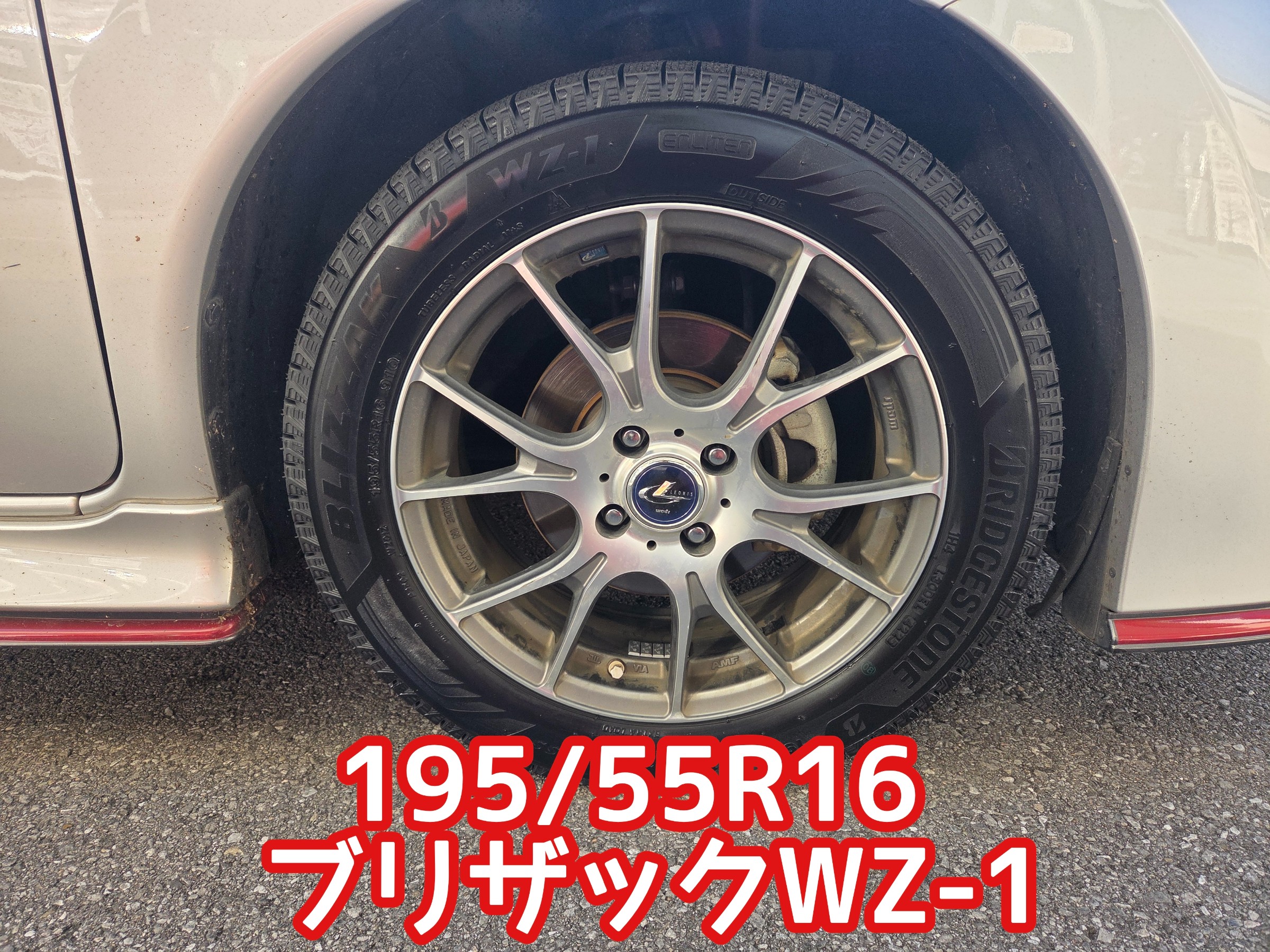 スタッフが撮影しました