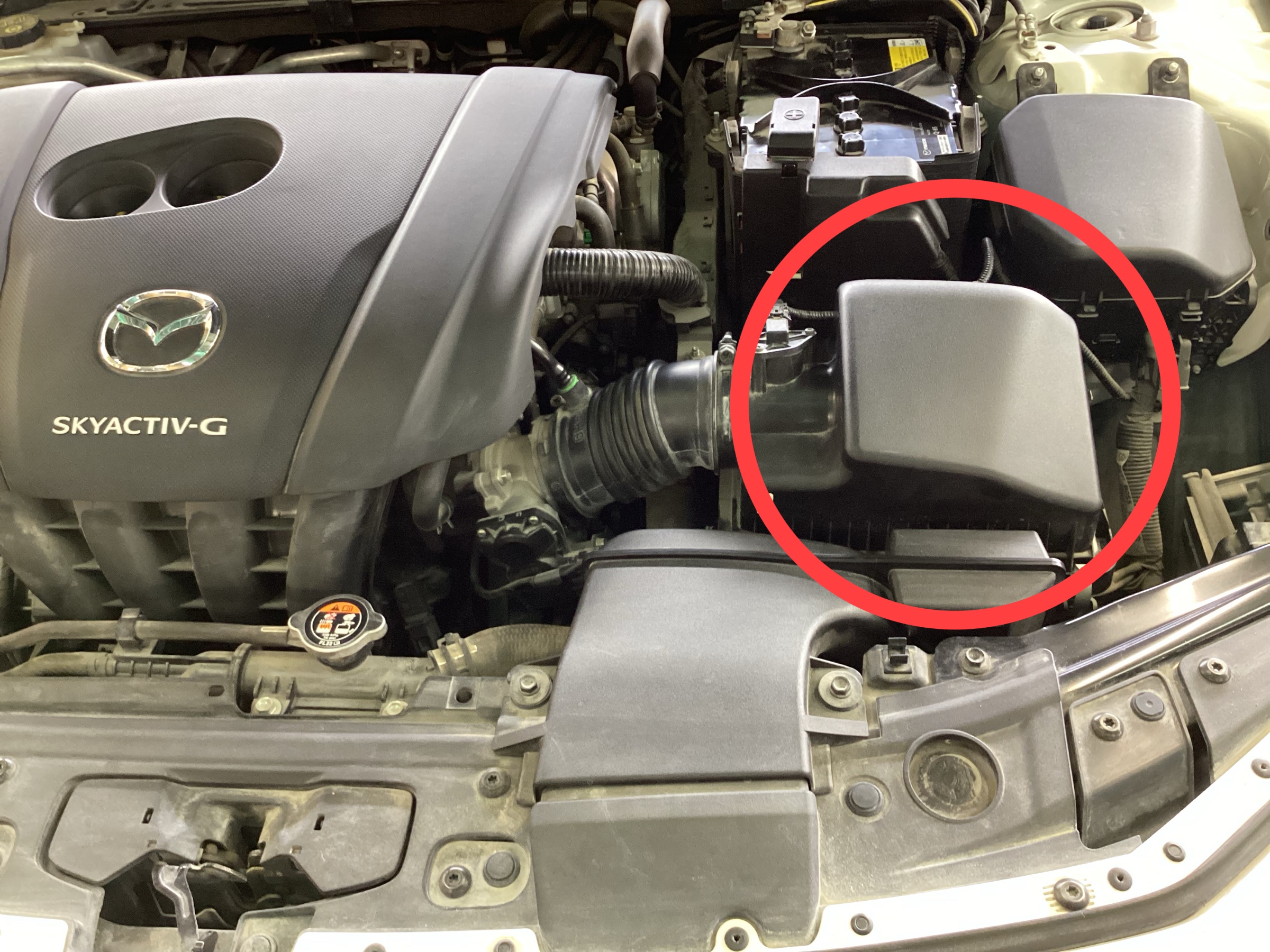 スタッフ撮影分