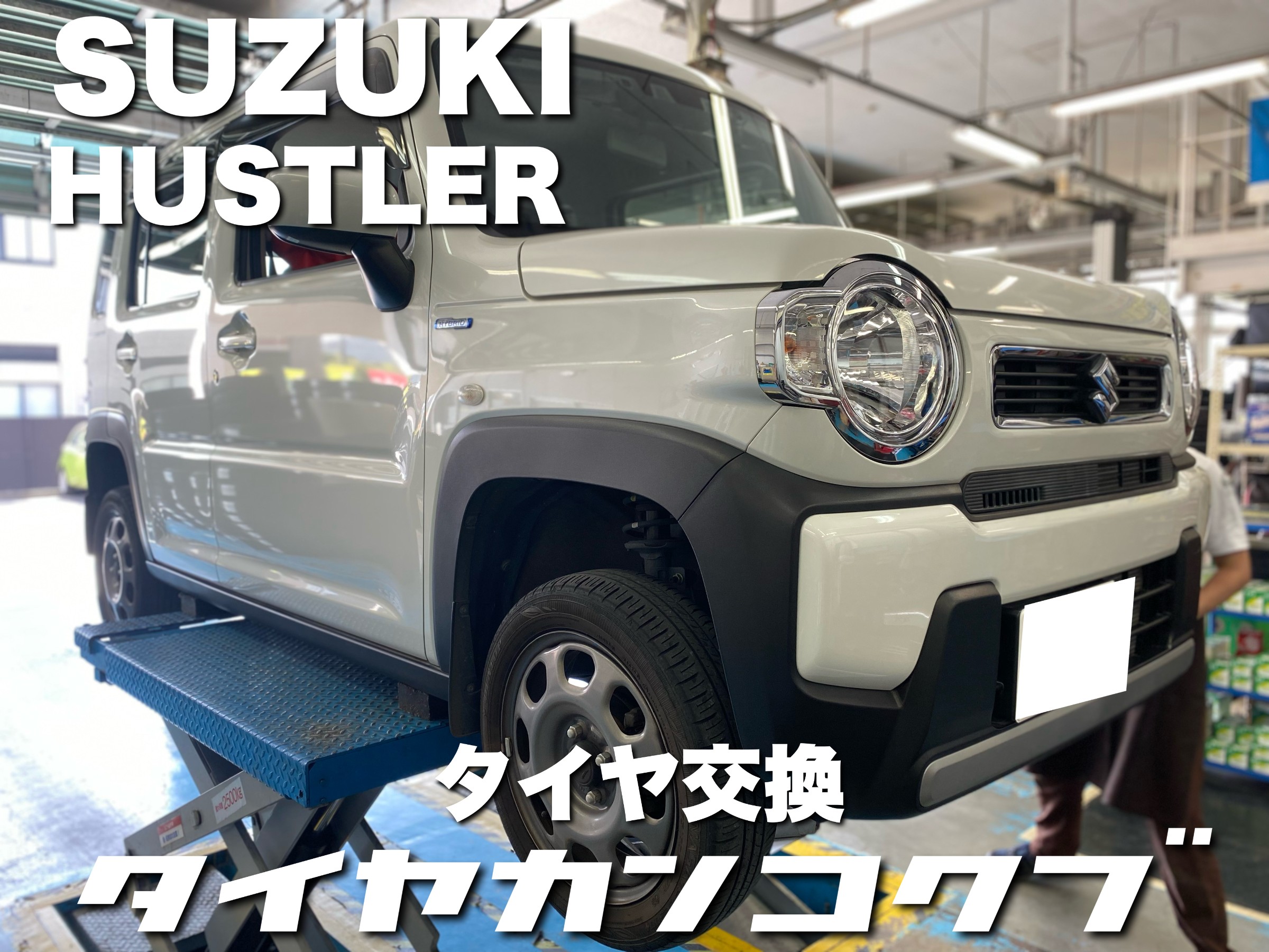 スタッフが撮影した画像