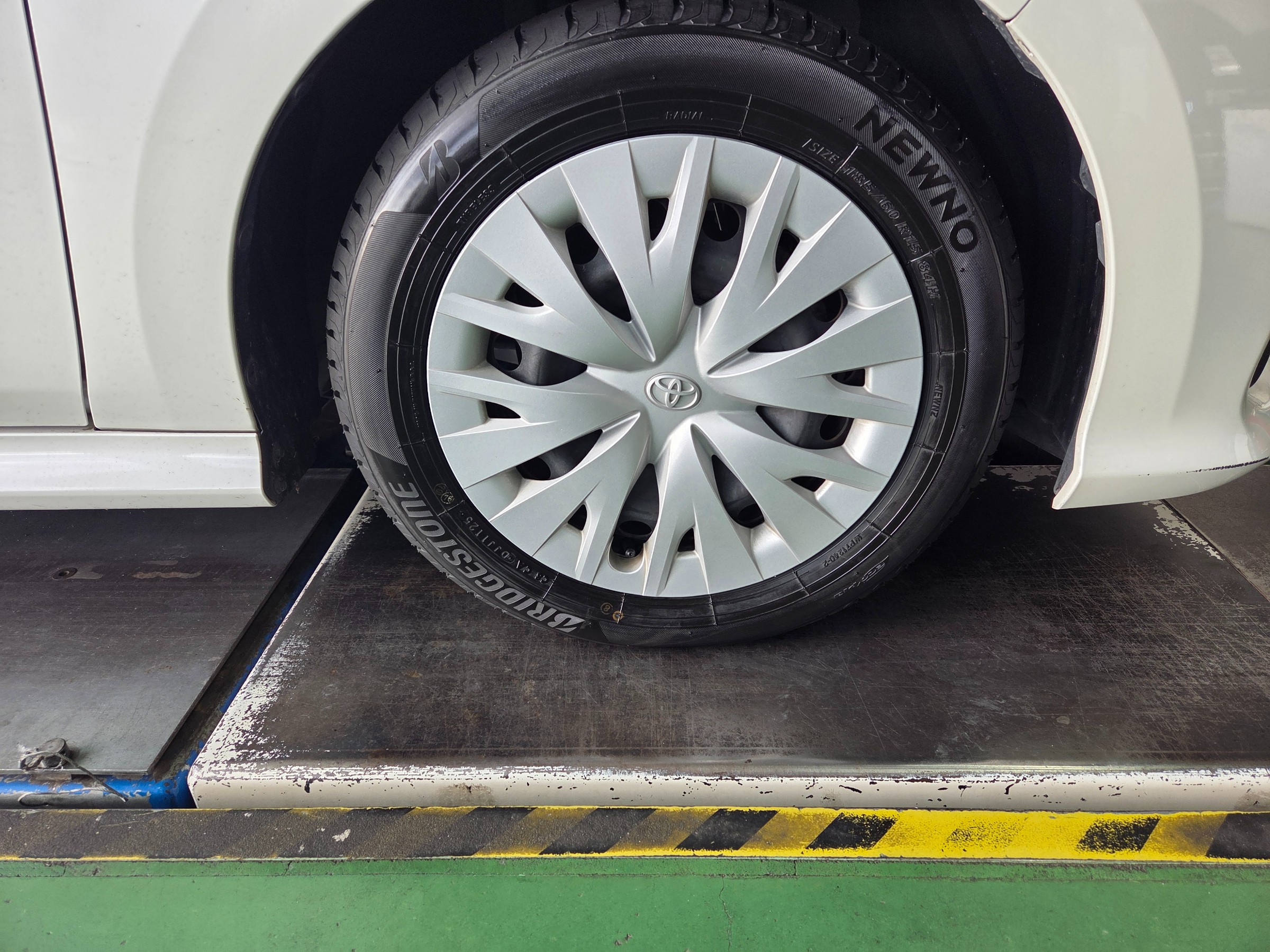 スタッフが撮影しました