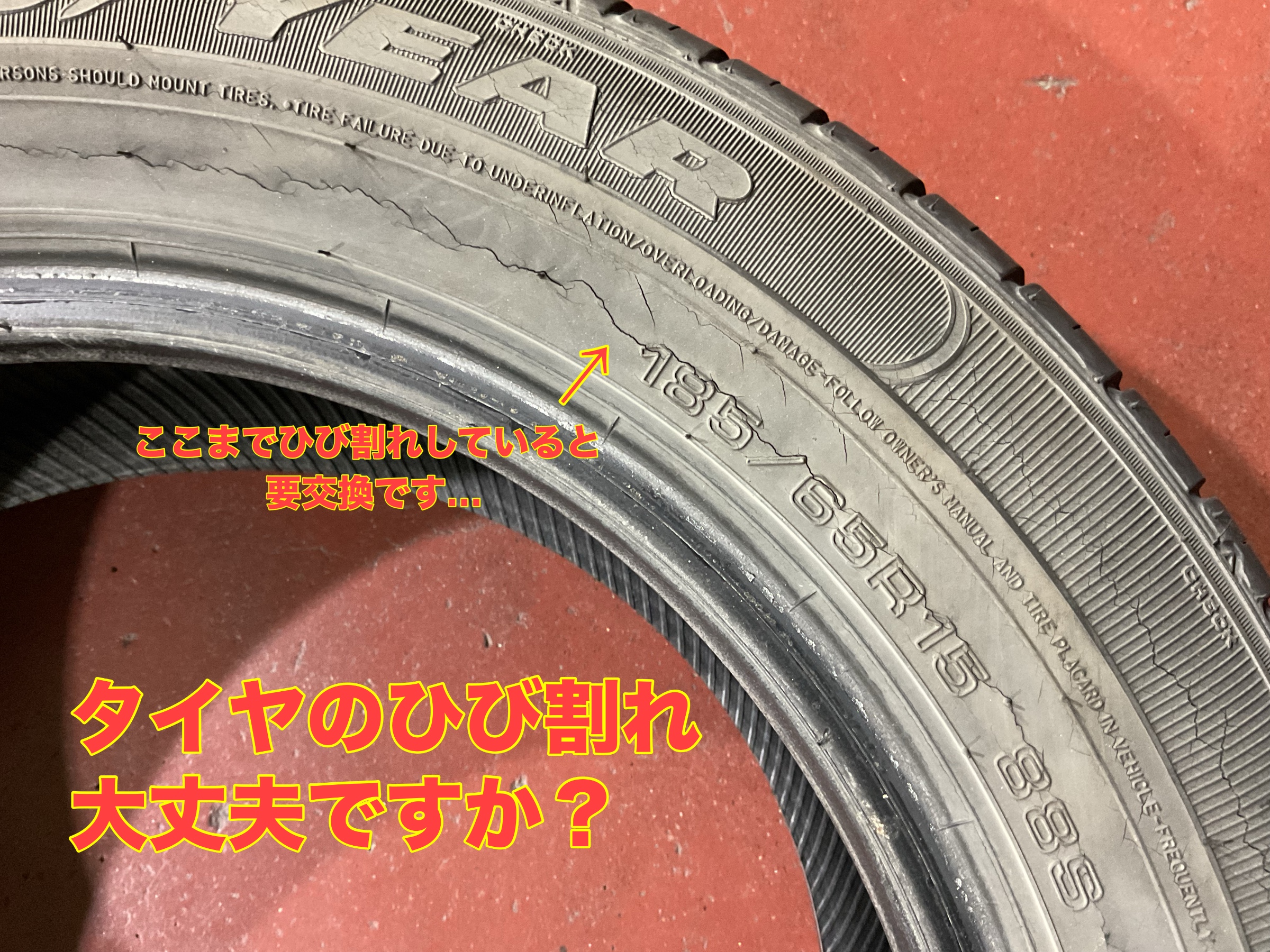 スタッフ撮影。無料画像編集アプリにて編集。