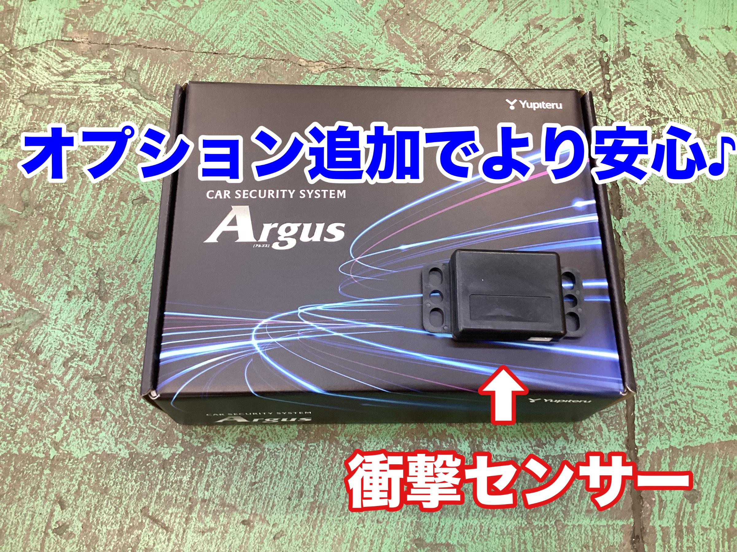 スタッフ撮影