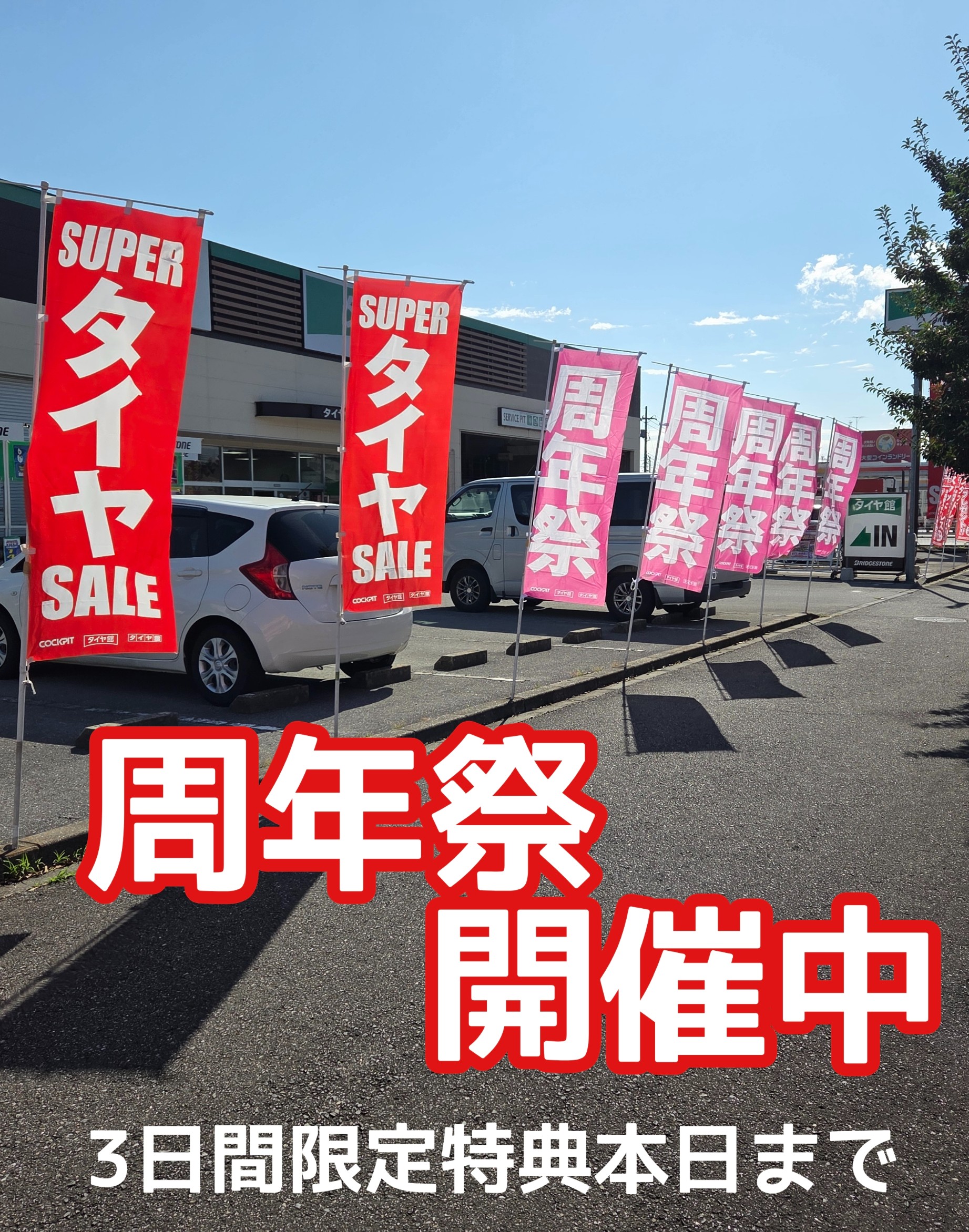 スタッフが撮影しました