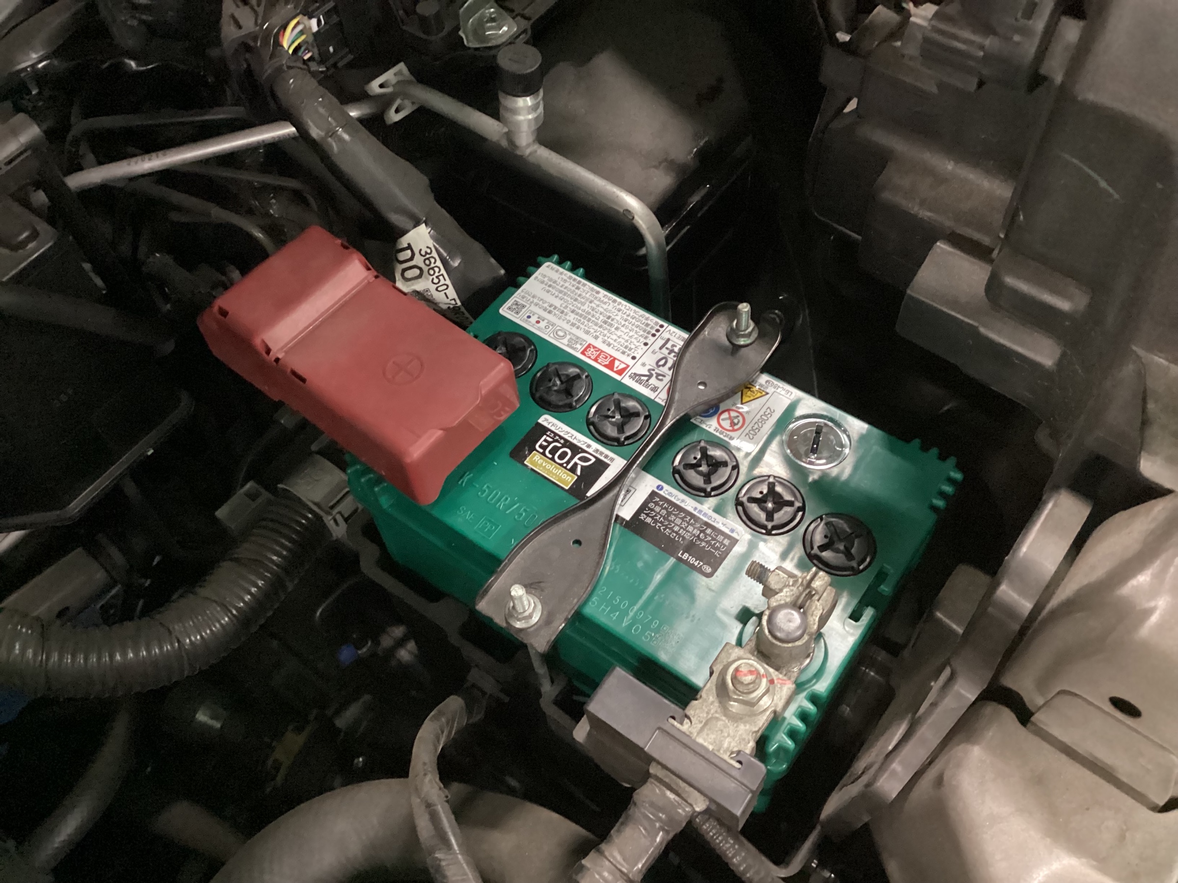 スタッフ撮影分