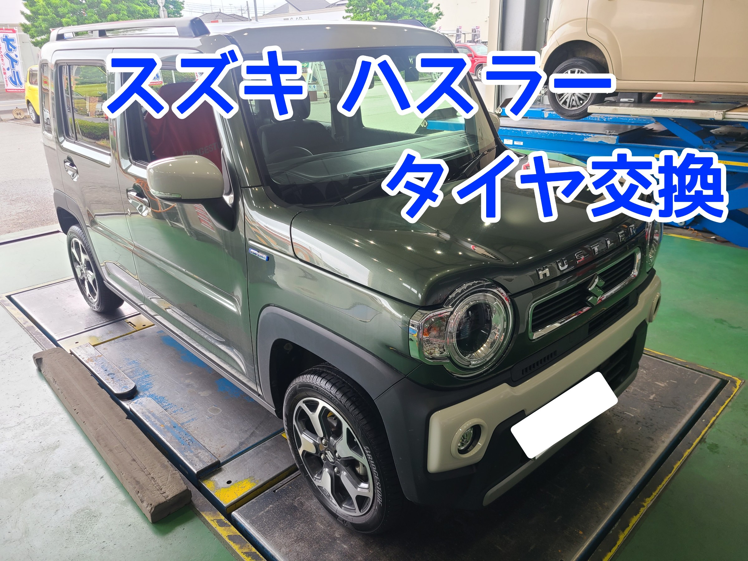 スタッフが撮影しました