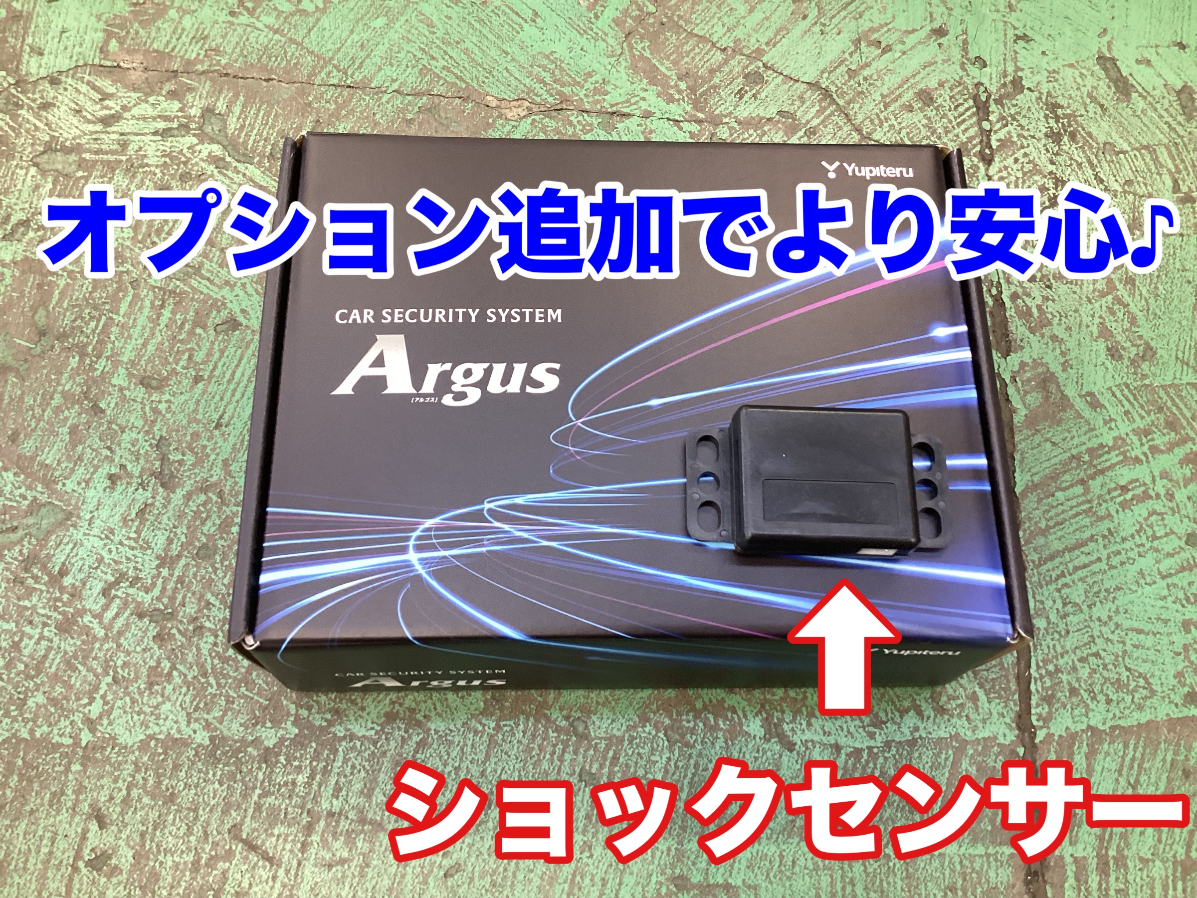 スタッフ撮影